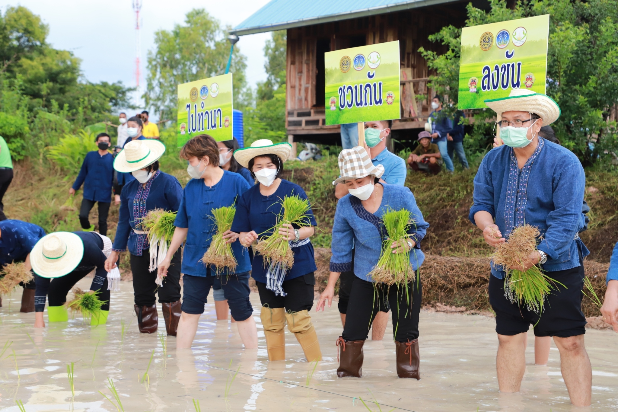 พช.ยโสธร   “ ร่วมลงขัน ชวนกันไปทำนา ” ปี 2565/66