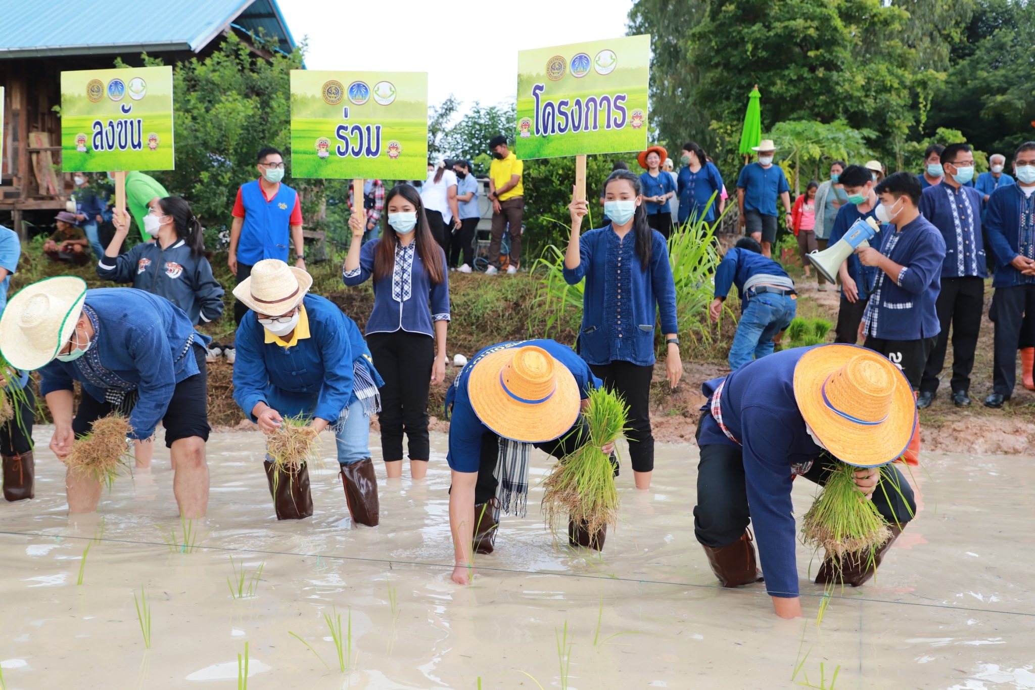 พช.ยโสธร   “ ร่วมลงขัน ชวนกันไปทำนา ” ปี 2565/66