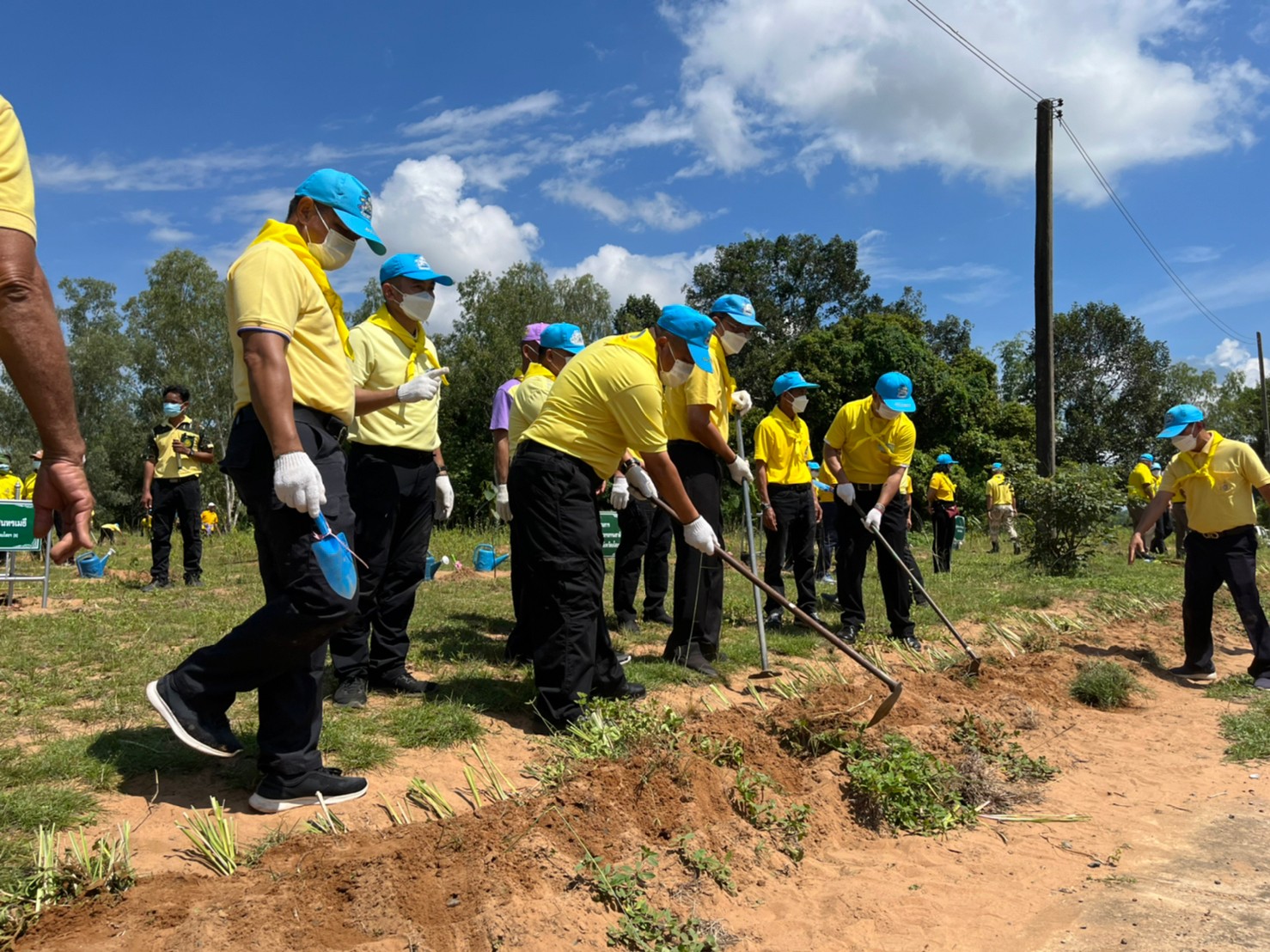 พช.ยโสธร ร่วมกิจกรรมจิตอาสาพัฒนาการปลูกต้นไม้  เนื่องในโอกาสเฉลิมพระชนมพรรษาพระบาทสมเด็จพระเจ้าอยู่หัว      