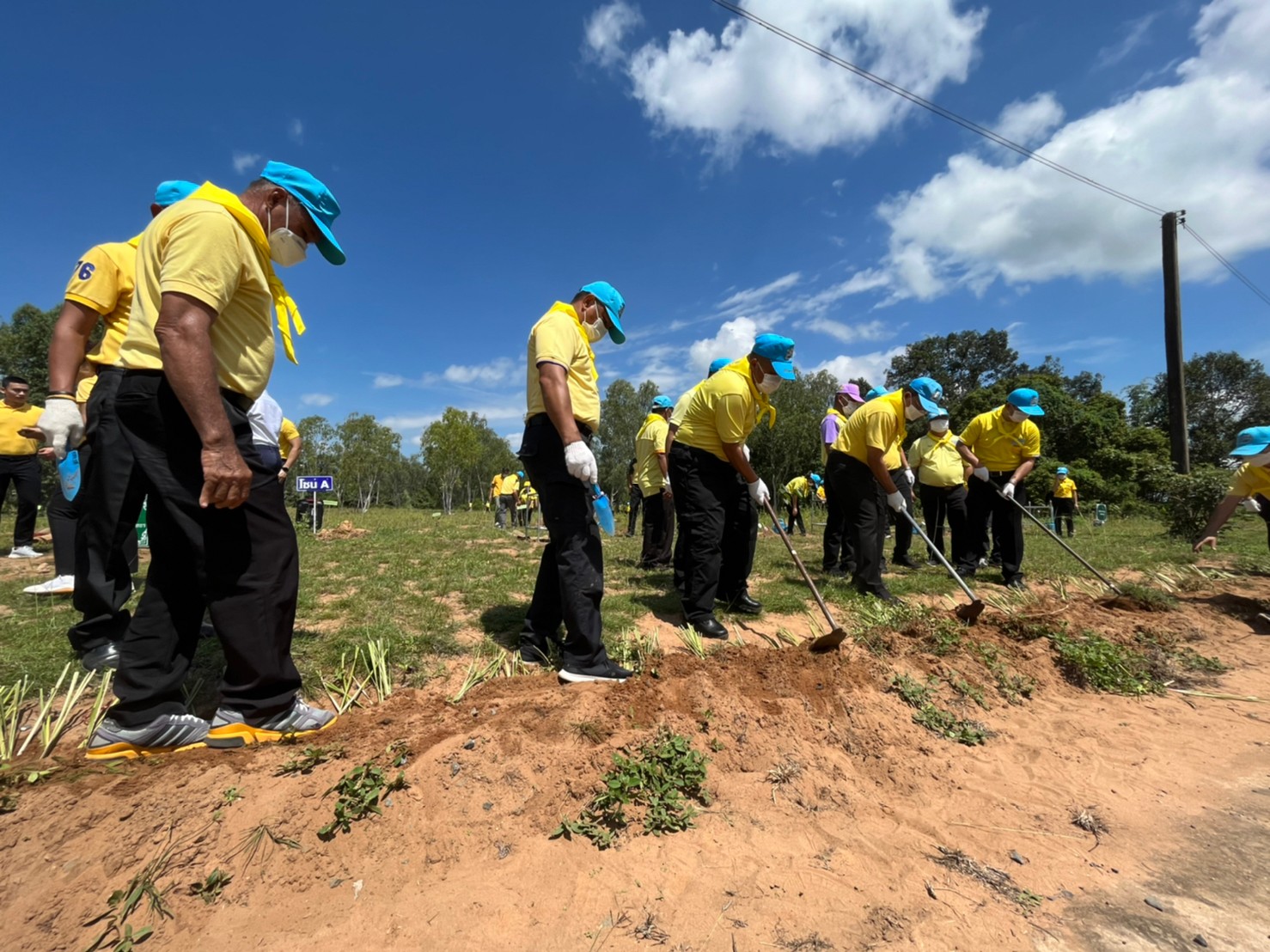 พช.ยโสธร ร่วมกิจกรรมจิตอาสาพัฒนาการปลูกต้นไม้  เนื่องในโอกาสเฉลิมพระชนมพรรษาพระบาทสมเด็จพระเจ้าอยู่หัว      