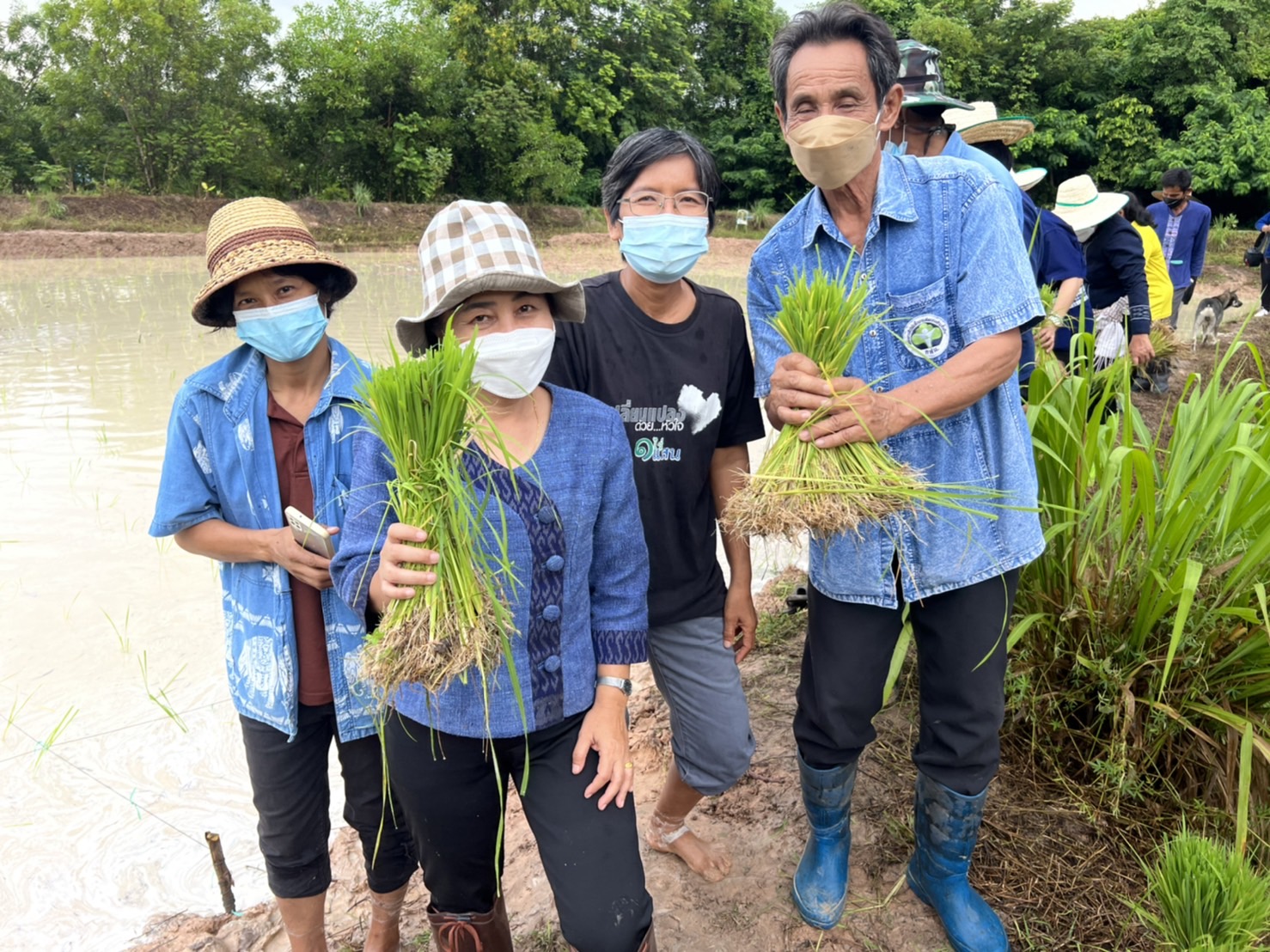 พช.ยโสธร   “ ร่วมลงขัน ชวนกันไปทำนา ” ปี 2565/66