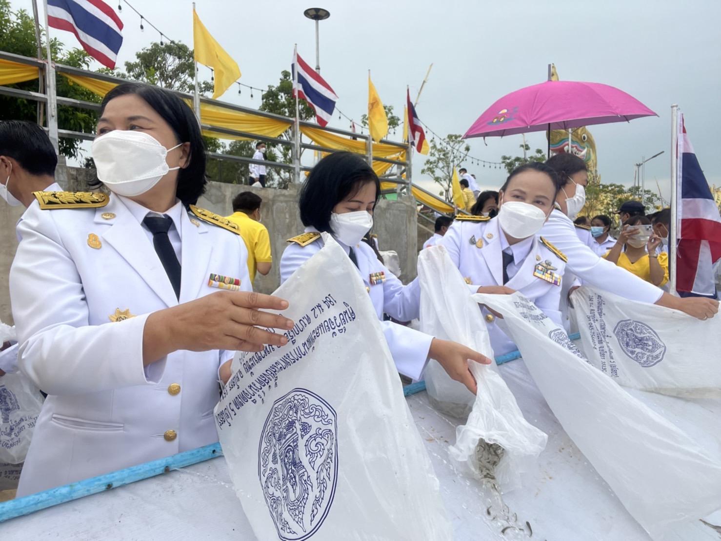 พช.ยโสธร ร่วมปล่อยพันธุ์สัตว์น้ำ 300,000.ตัว เฉลิมพระเกียรติ เนื่องในโอกาสวันเฉลิมพระชนมพรรษา พระบาทสมเด็จพระเจ้าอยู่หัว 28 กรกฎาคม 2565 ที่บริเวณลำทวน แหล่งท่องเที่ยววิมานพญาแถน อ.เมืองยโสธร 