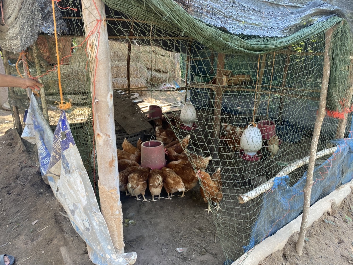 พช.ยโสธร…ติดตามและเยี่ยมให้กำลังใจแก่เยาวชนกลุ่มเสี่ยงและผู้ผ่านการบำบัดฯ…กิจกรรมสนับสนุนกิจกรรมศูนย์เรียนรู้ต้นแบบหนุนเสริมสัมมาชีพชุมชนแก่เยาวชนกลุ่มเสี่ยงและผู้ผ่านการบำบัดฯ โครงการส่งเสริมและพัฒนาหมู่บ้านกองทุนแม่ของแผ่นดิน ประจำปี 2565