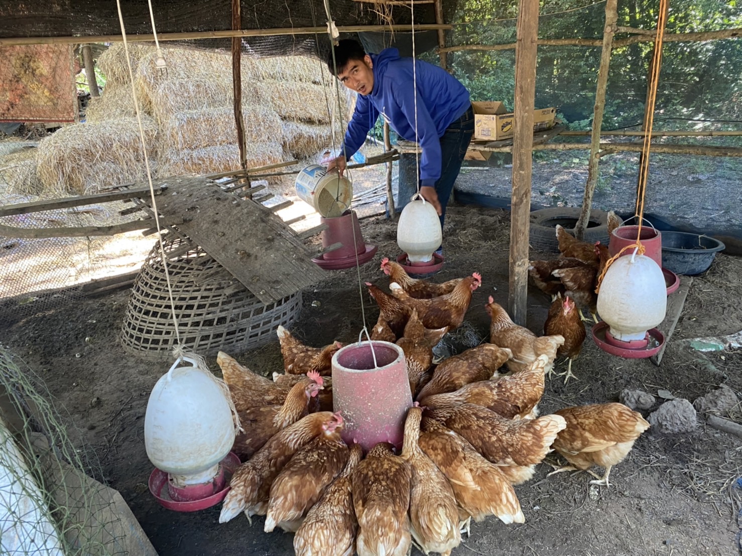 พช.ยโสธร…ติดตามและเยี่ยมให้กำลังใจแก่เยาวชนกลุ่มเสี่ยงและผู้ผ่านการบำบัดฯ…กิจกรรมสนับสนุนกิจกรรมศูนย์เรียนรู้ต้นแบบหนุนเสริมสัมมาชีพชุมชนแก่เยาวชนกลุ่มเสี่ยงและผู้ผ่านการบำบัดฯ โครงการส่งเสริมและพัฒนาหมู่บ้านกองทุนแม่ของแผ่นดิน ประจำปี 2565