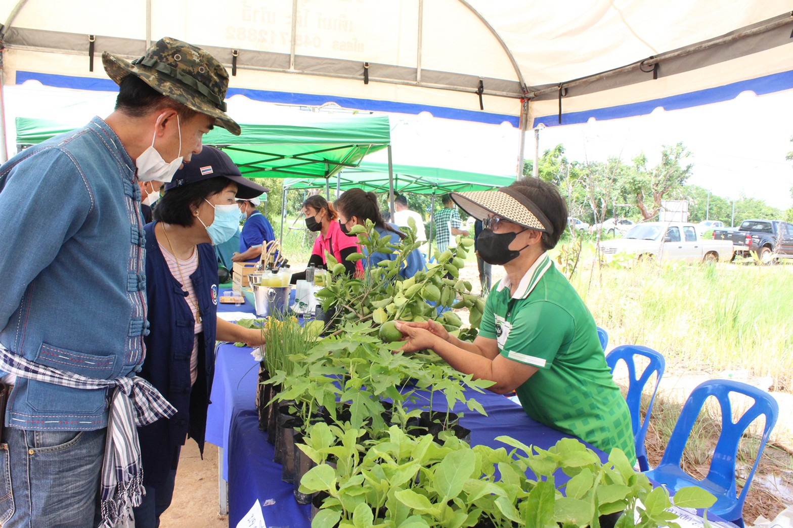 พช.ยโสธร รวมพลังภาคีเครือข่ายในการขับเคลื่อนโครงการส่งเสริมการพัฒนากลไก และโครงสร้างดูดซับมูลค่าเศรษฐกิจและการกระจายรายได้กลับสู่ท้องถิ่น กิจกรรมเชื่อมโยงช่องทางการตลาดในการสร้างรายได้จากกิจการอาหาร ปลอดภัยจังหวัด และตลาดนัดโคก หนอง นา ยโสธร