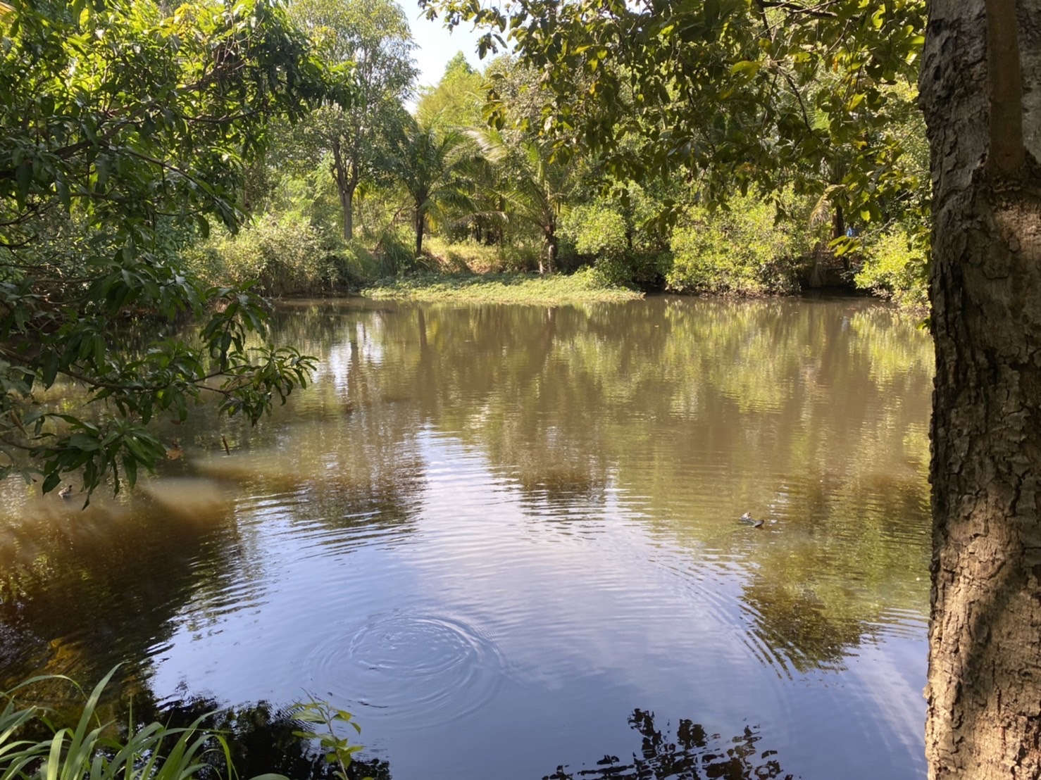 ?พช.ยโสธร ลงพื้นที่ติดตามและเตรียมรับการตรวจสอบผลสัมฤทธิ์และประสิทธิภาพการดำเนินงาน โครงการพัฒนาพื้นที่ต้นแบบการพัฒนาคุณภาพชีวิตตามหลักทฤษฏีใหม่ ประยุกต์สู่โคก หนอง นา โมเดล ในพื้นที่จังหวัดยโสธร