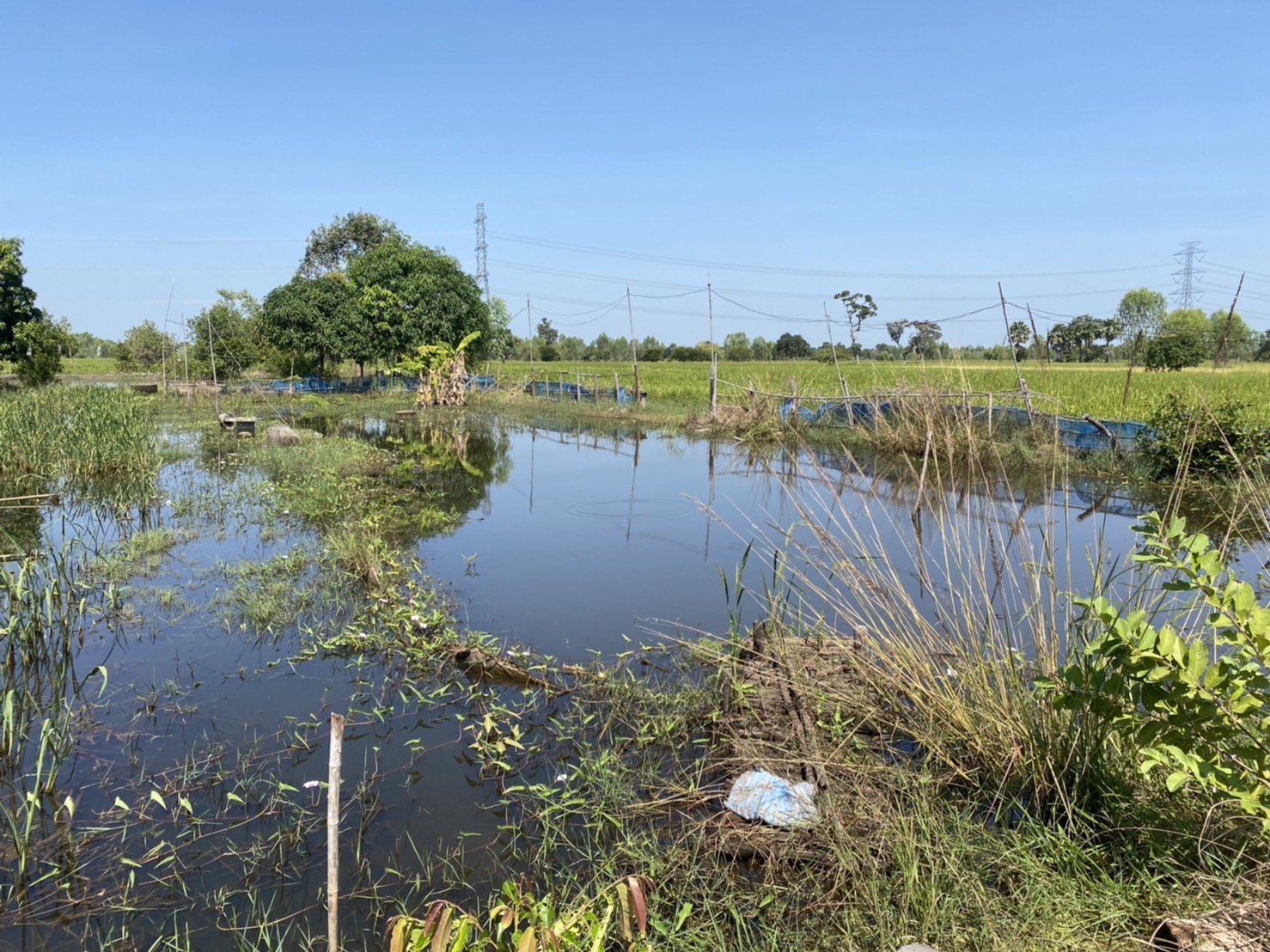 ?พช.ยโสธร ลงพื้นที่ติดตามและเตรียมรับการตรวจสอบผลสัมฤทธิ์และประสิทธิภาพการดำเนินงาน โครงการพัฒนาพื้นที่ต้นแบบการพัฒนาคุณภาพชีวิตตามหลักทฤษฏีใหม่ ประยุกต์สู่โคก หนอง นา โมเดล ในพื้นที่จังหวัดยโสธร