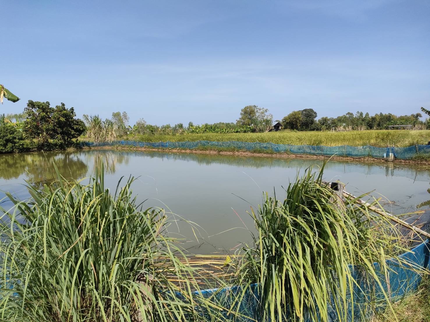 ?พช.ยโสธร ลงพื้นที่ติดตามและเตรียมรับการตรวจสอบผลสัมฤทธิ์และประสิทธิภาพการดำเนินงาน โครงการพัฒนาพื้นที่ต้นแบบการพัฒนาคุณภาพชีวิตตามหลักทฤษฏีใหม่ ประยุกต์สู่โคก หนอง นา โมเดล ในพื้นที่จังหวัดยโสธร