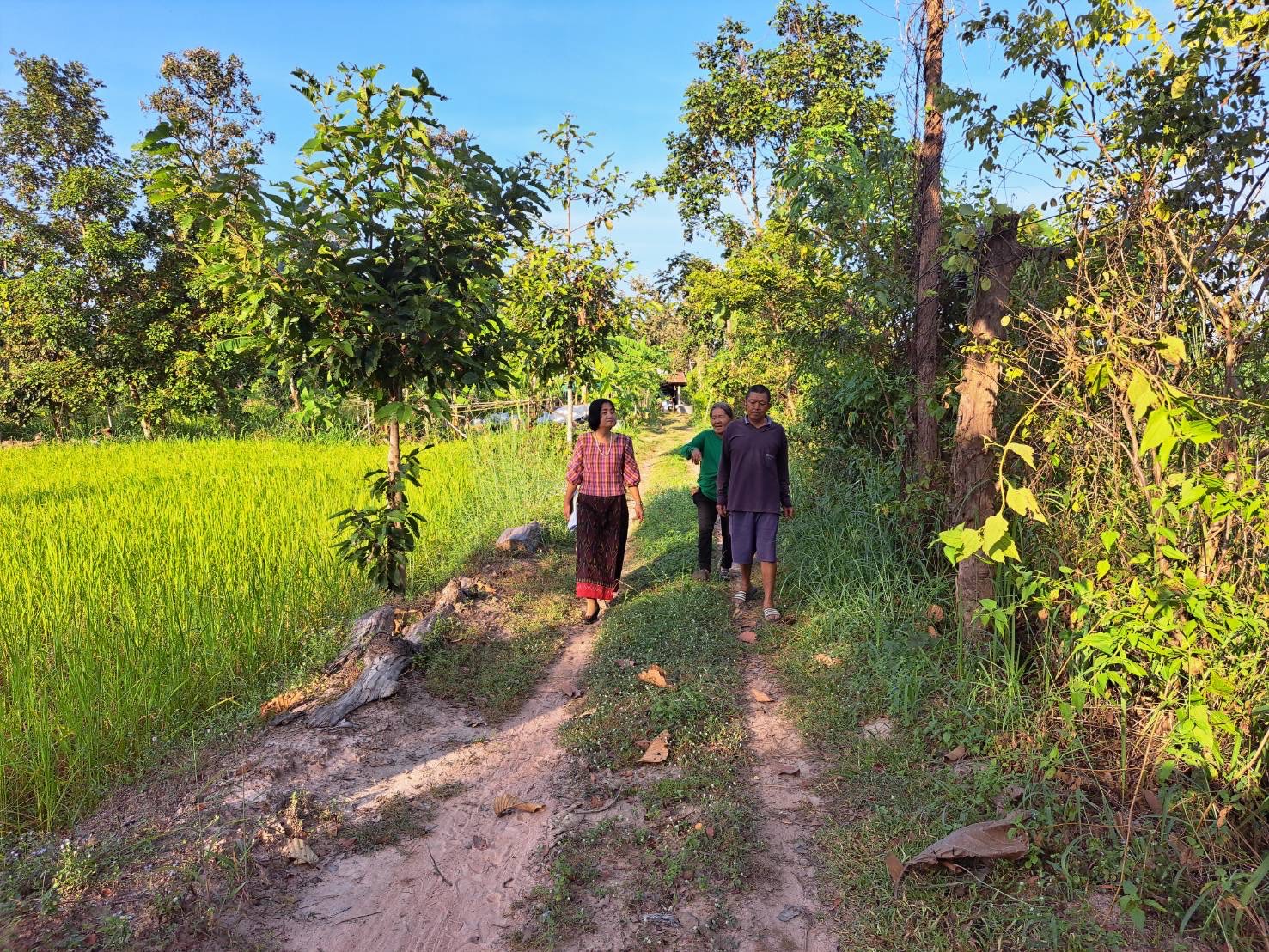?พช.ยโสธร ลงพื้นที่ติดตามและเตรียมรับการตรวจสอบผลสัมฤทธิ์และประสิทธิภาพการดำเนินงาน โครงการพัฒนาพื้นที่ต้นแบบการพัฒนาคุณภาพชีวิตตามหลักทฤษฏีใหม่ ประยุกต์สู่โคก หนอง นา โมเดล ในพื้นที่จังหวัดยโสธร