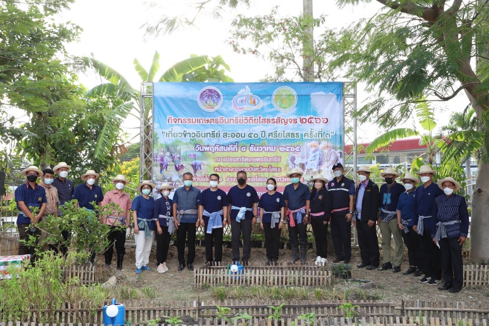 ?พช.ยโสธร ร่วมกิจกรรมเกษตรอินทรีย์วิธียโสธรสัญจร 2566 เกี่ยวข้าวอินทรีย์ สะออน 50 ปี ศรียโสธร ครั้งที่ 3 และกิจกรรมวันดินโลก