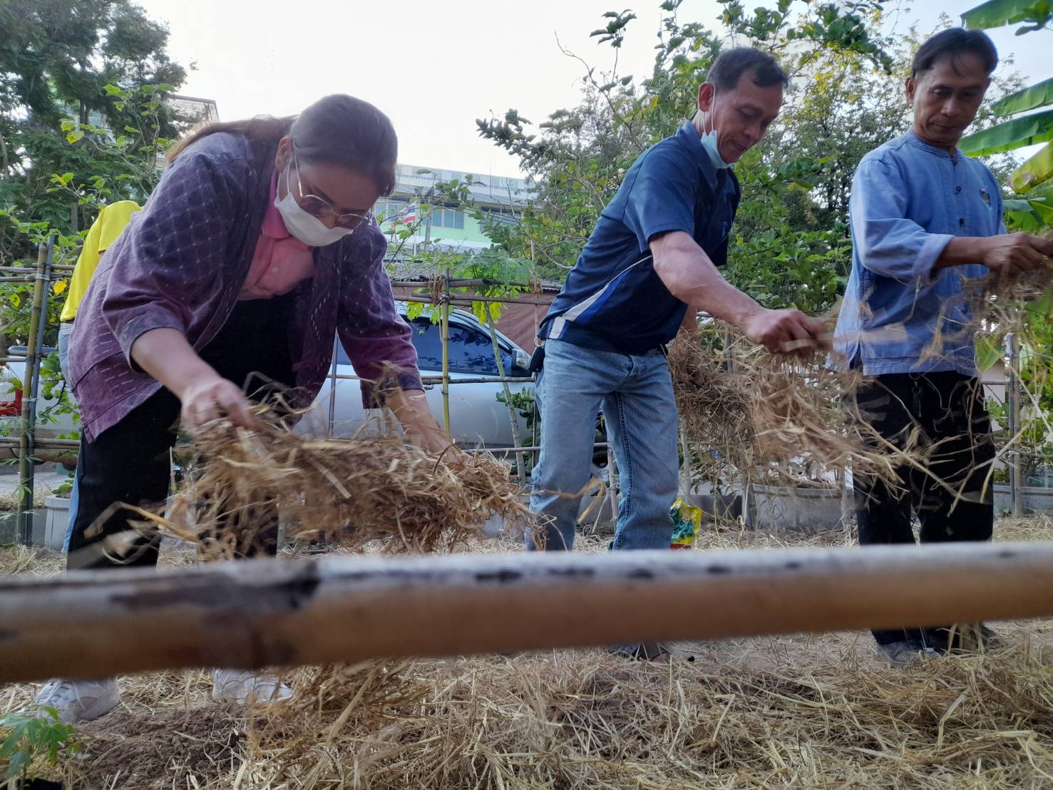 ☘️พช.ยโสธร เตรียมพื้นที่ดำเนินการปลูกผักสวนครัว ในการ น้อมนำแนวพระราชดำริของสมเด็จพระกนิษฐาธิราชเจ้า กรมสมเด็จพระเทพรัตนราชสุดาฯ สยามบรมราชกุมารี สู่ปฏิบัติการปลูกผักสวนครัว เพื่อสร้างความมั่นคงทางอาหารต่อเนื่อง Copy