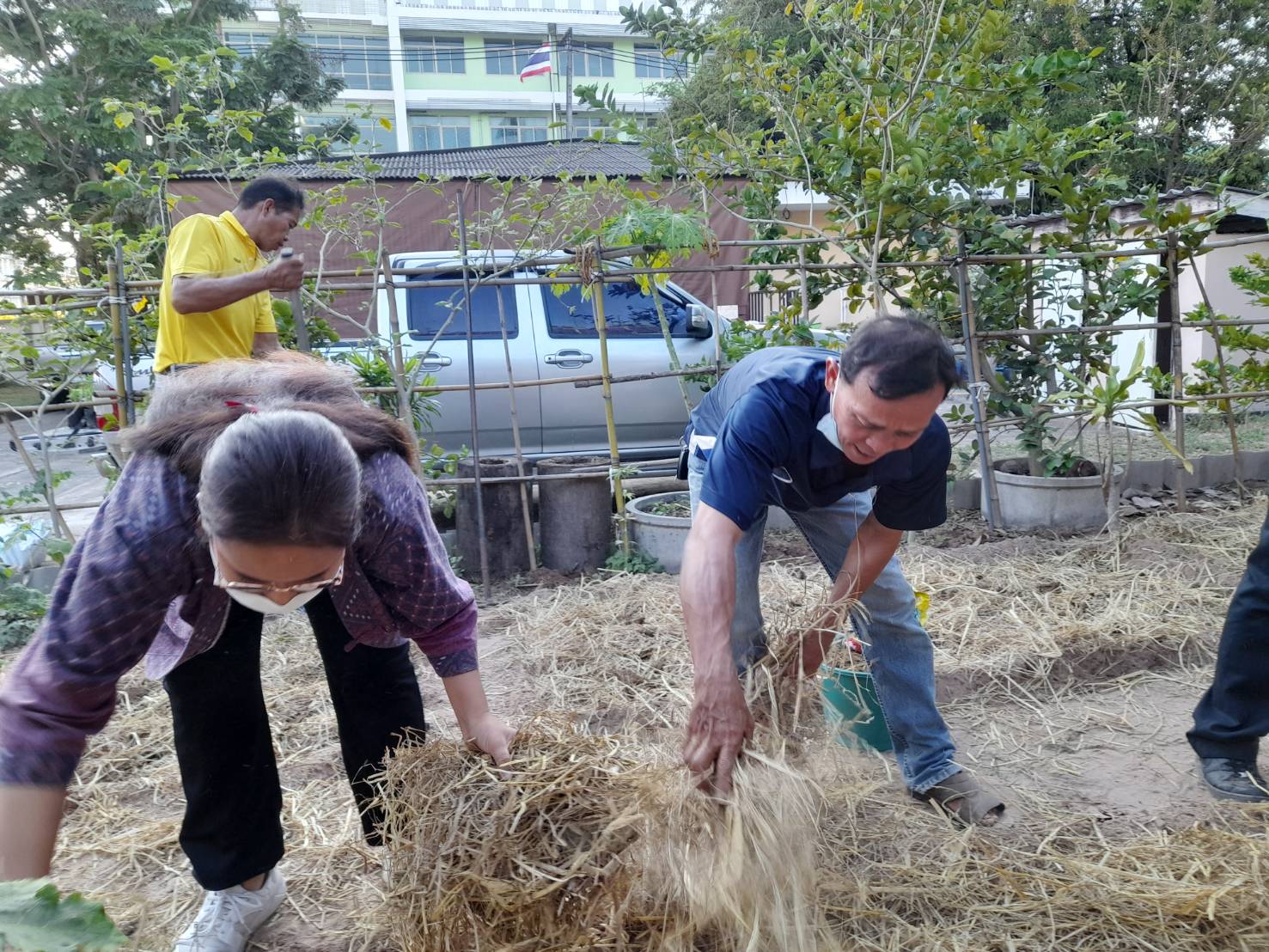 ☘️พช.ยโสธร เตรียมพื้นที่ดำเนินการปลูกผักสวนครัว ในการ น้อมนำแนวพระราชดำริของสมเด็จพระกนิษฐาธิราชเจ้า กรมสมเด็จพระเทพรัตนราชสุดาฯ สยามบรมราชกุมารี สู่ปฏิบัติการปลูกผักสวนครัว เพื่อสร้างความมั่นคงทางอาหารต่อเนื่อง Copy