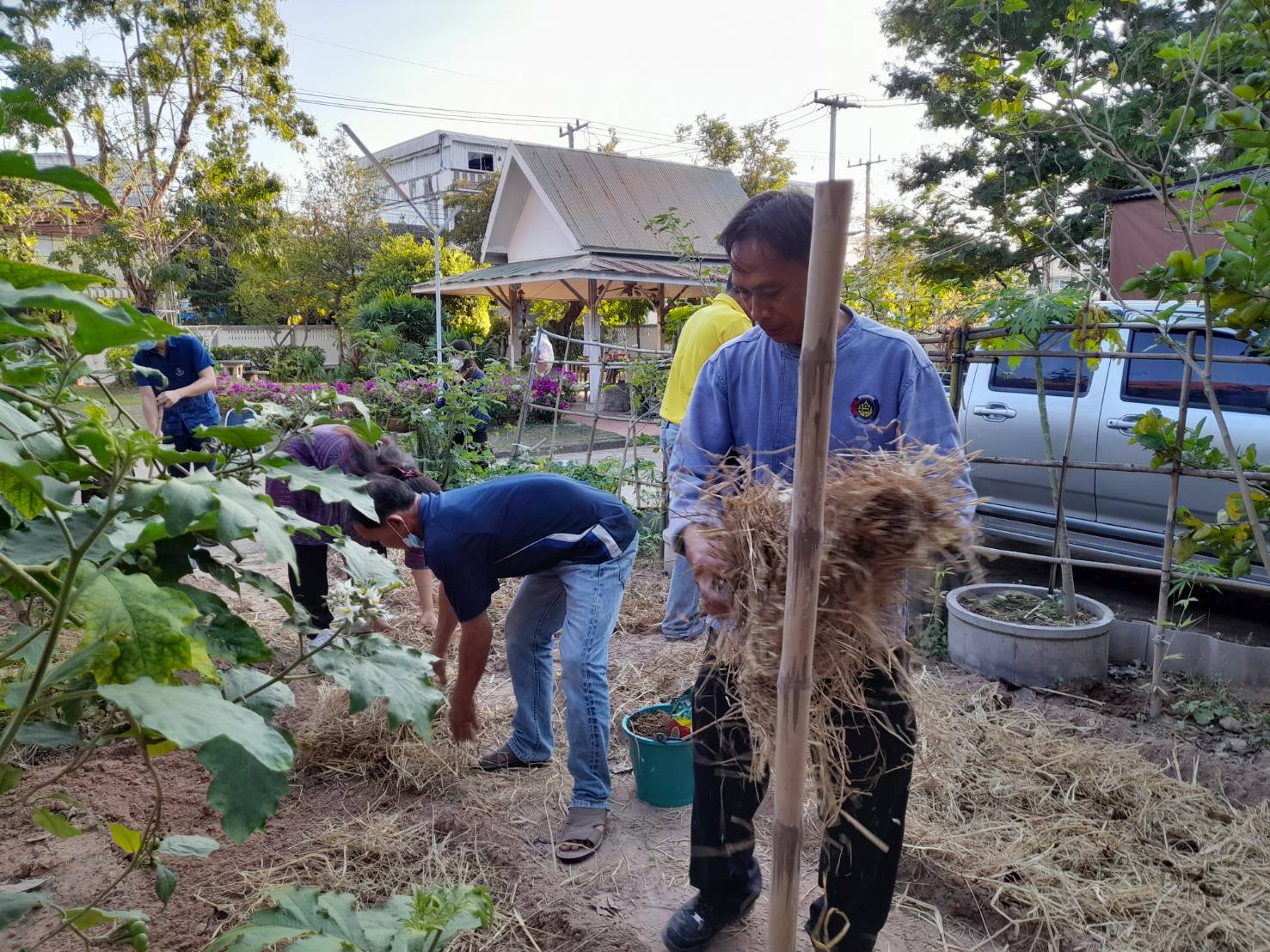 ☘️พช.ยโสธร เตรียมพื้นที่ดำเนินการปลูกผักสวนครัว ในการ น้อมนำแนวพระราชดำริของสมเด็จพระกนิษฐาธิราชเจ้า กรมสมเด็จพระเทพรัตนราชสุดาฯ สยามบรมราชกุมารี สู่ปฏิบัติการปลูกผักสวนครัว เพื่อสร้างความมั่นคงทางอาหารต่อเนื่อง Copy
