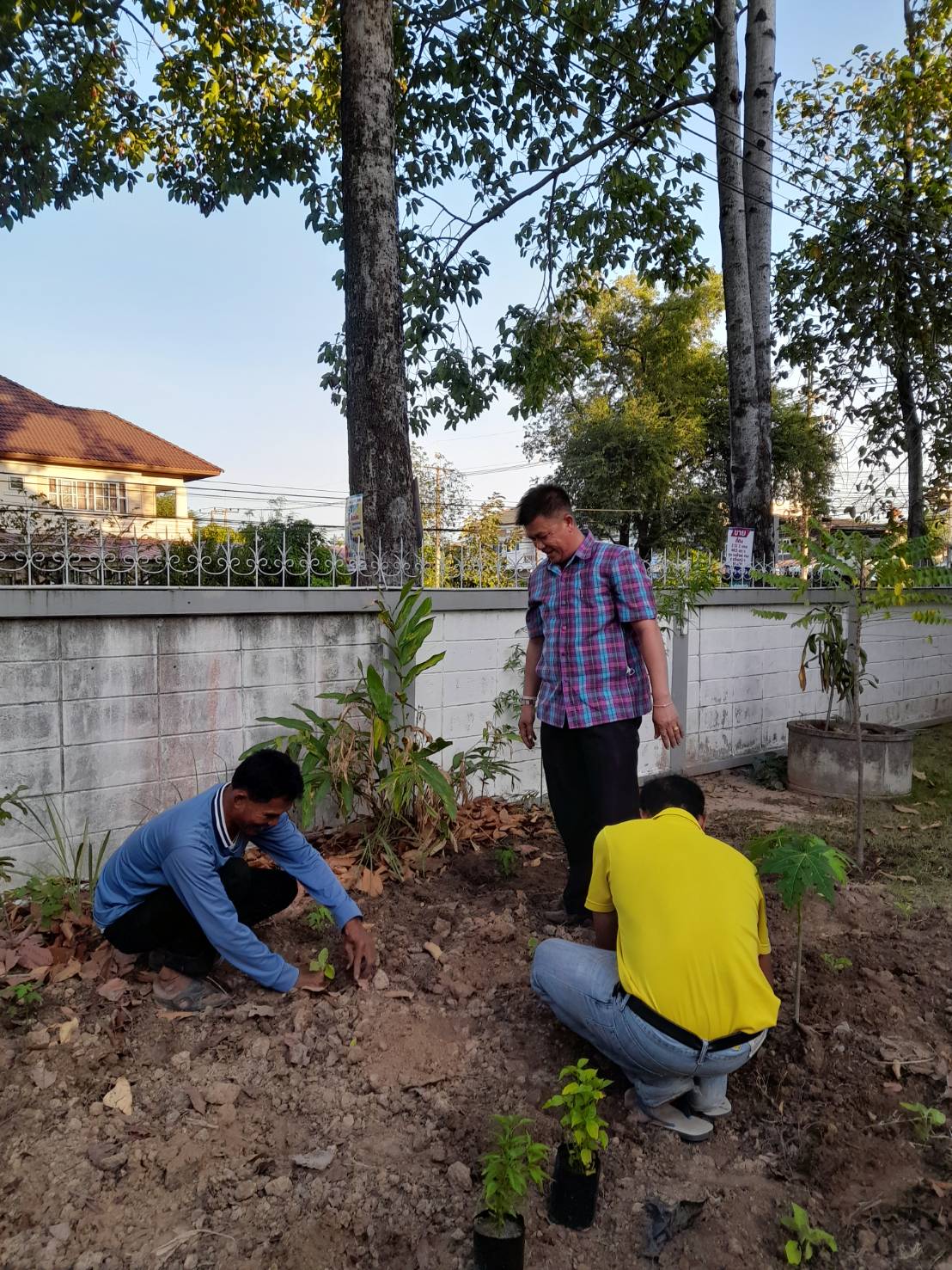 ☘️พช.ยโสธร เตรียมพื้นที่ดำเนินการปลูกผักสวนครัว ในการ น้อมนำแนวพระราชดำริของสมเด็จพระกนิษฐาธิราชเจ้า กรมสมเด็จพระเทพรัตนราชสุดาฯ สยามบรมราชกุมารี สู่ปฏิบัติการปลูกผักสวนครัว เพื่อสร้างความมั่นคงทางอาหารต่อเนื่อง Copy