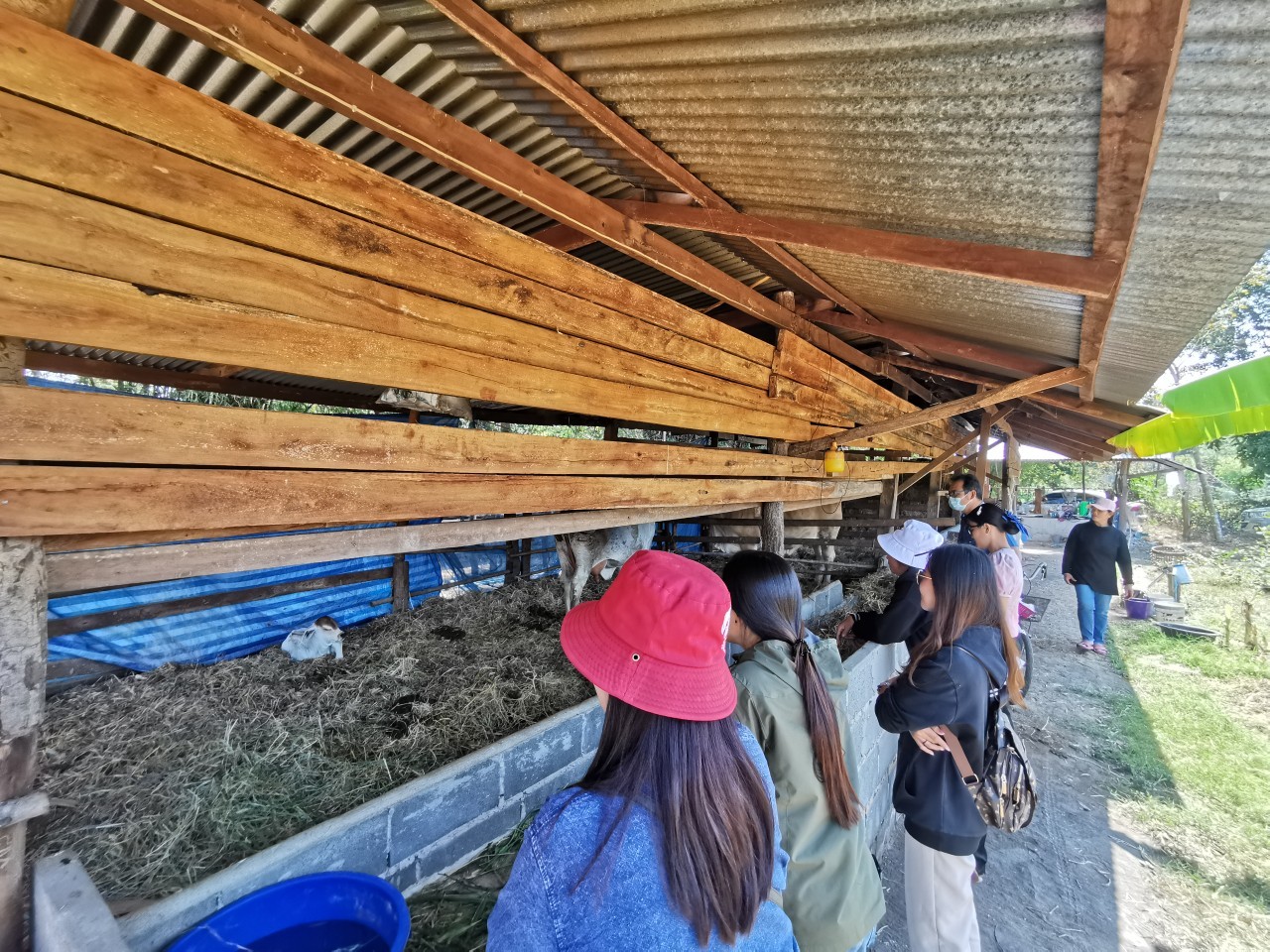 ?พช.ยโสธร ติดตามสนับสนุนการขับเคลื่อนการดำเนินงานของสำนักงานพัฒนาชุมชน อำเภอทรายมูล จังหวัดยโสธร