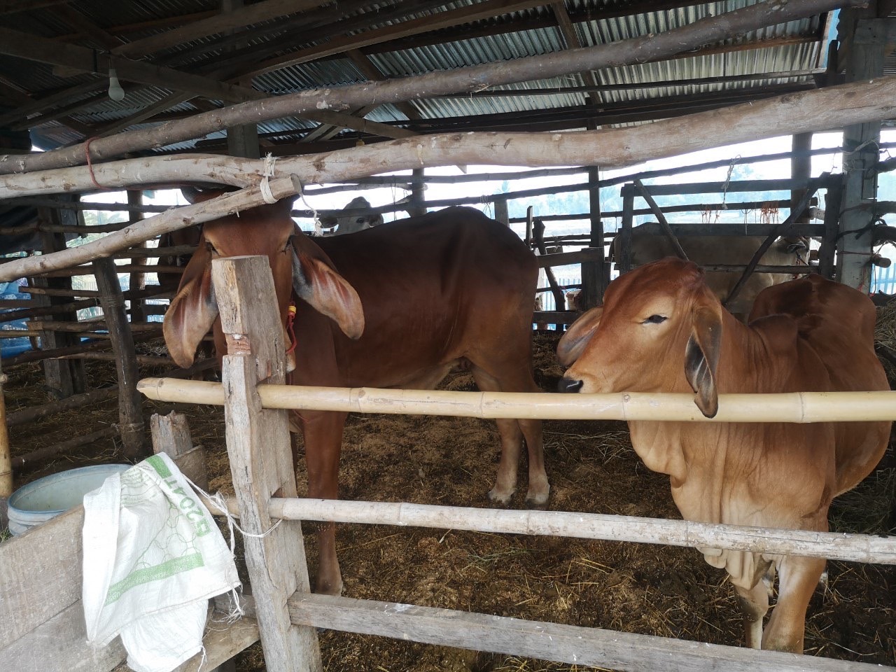 ?พช.ยโสธรร่วมต้อนรับและนำเสนอข้อมูล การดำเนินงานแก่คณะกรรมาธิการติดตามการบริหารงบประมาณ วุฒิสภาและคณะอนุกรรมาธิการ