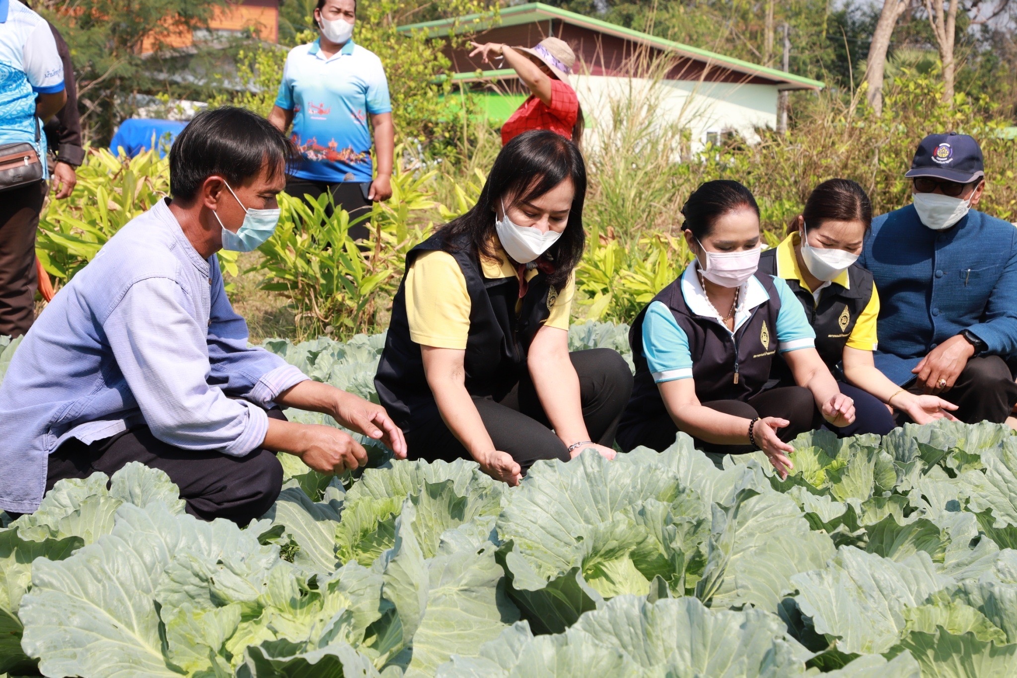 ?ประธานแม่บ้านมหาดไทย ยโสธร ขับเคลื่อนการน้อมนำแนวพระราชดำริของสมเด็จพระกนิษฐาธิราชเจ้า กรมสมเด็จพระเทพรัตนราชสุดาฯ สยามบรมราชกุมารี สู่ปฏิบัติการปลูกผักสวนครัว เพื่อสร้างความมั่นคงทางอาหาร “บ้านนี้มีรัก ปลูกผักกินเอง” และการขยายผลโครงการ “ทางนี้มีผล ผู้คนรักกัน”และโครงการส่งเสริมการใช้ผ้าไทย น้อมนำแนวพระราชดำริ สมเด็จพระเจ้าลูกเธอ เจ้าฟ้าสิริวัณณวรีนารีรัตนราชกัญญา “ผ้าไทยใส่ให้สนุก”