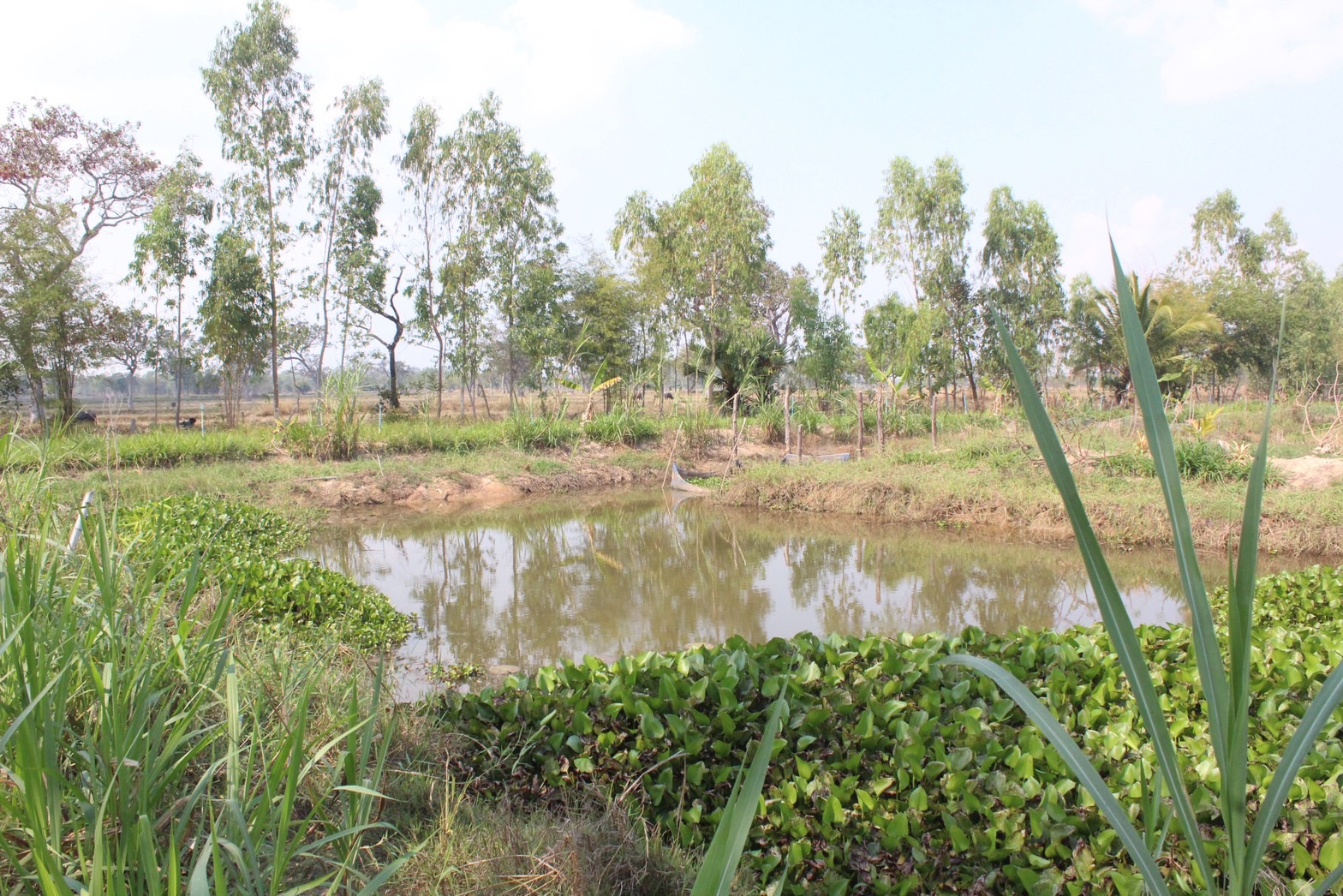 ?พช.ยโสธร ติดตามสนับสนุน การขับเคลื่อนงานพัฒนาชุมชน สำนักงานพัฒนาชุมชน อำเภอมหาชนะชัย อำเภอคำเขื่อนแก้ว อำเภอค้อวัง จังหวัดยโสธร