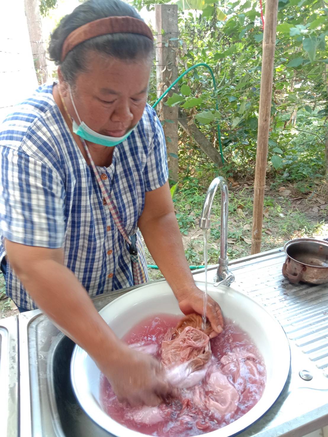 ☘พช.ยโสธร ดำเนินกิจกรรมสนองพระราชดำริโครงการอนุรักษ์พันธุกรรมพืชอันเนื่องมา จากพระราชดำริ สมเด็จพระเทพรัตนราชสุดาฯ สยามบรมราชกุมารี (อพ.สธ.) กิจกรรมสร้างสรรค์การใช้ประโยชน์จากต้นไม้ประจำจังหวัด (ต้นยางนา)