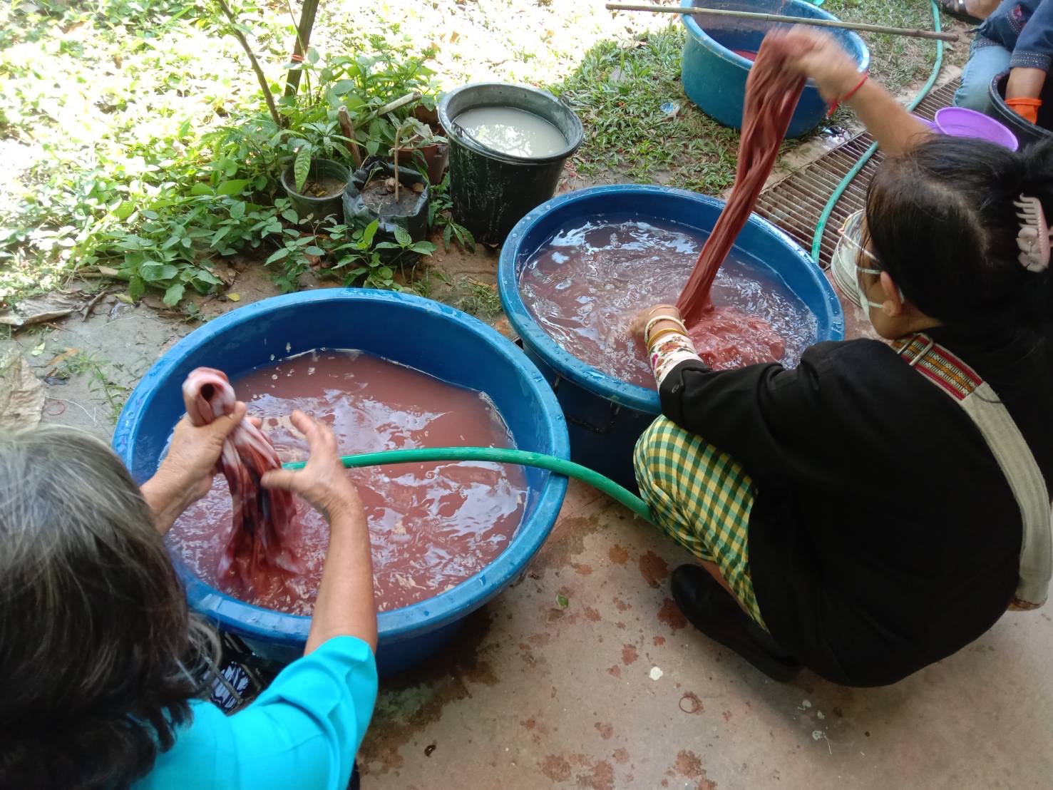 ☘พช.ยโสธร ดำเนินกิจกรรมสนองพระราชดำริโครงการอนุรักษ์พันธุกรรมพืชอันเนื่องมา จากพระราชดำริ สมเด็จพระเทพรัตนราชสุดาฯ สยามบรมราชกุมารี (อพ.สธ.) กิจกรรมสร้างสรรค์การใช้ประโยชน์จากต้นไม้ประจำจังหวัด (ต้นยางนา)