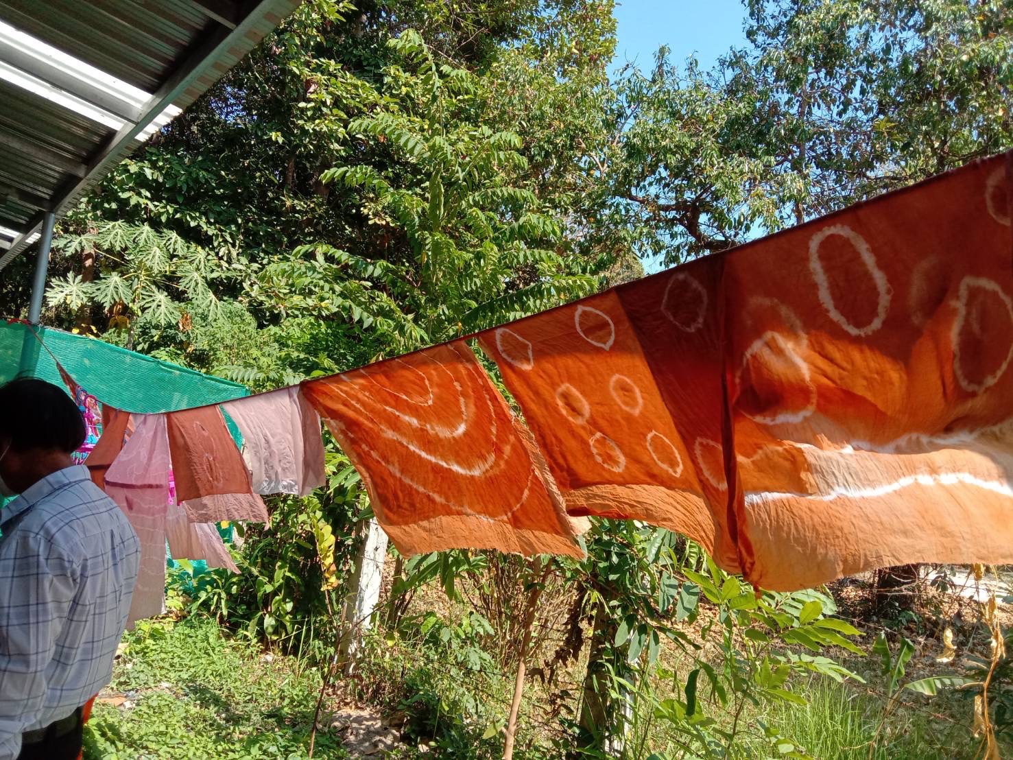 ☘พช.ยโสธร ดำเนินกิจกรรมสนองพระราชดำริโครงการอนุรักษ์พันธุกรรมพืชอันเนื่องมา จากพระราชดำริ สมเด็จพระเทพรัตนราชสุดาฯ สยามบรมราชกุมารี (อพ.สธ.) กิจกรรมสร้างสรรค์การใช้ประโยชน์จากต้นไม้ประจำจังหวัด (ต้นยางนา)