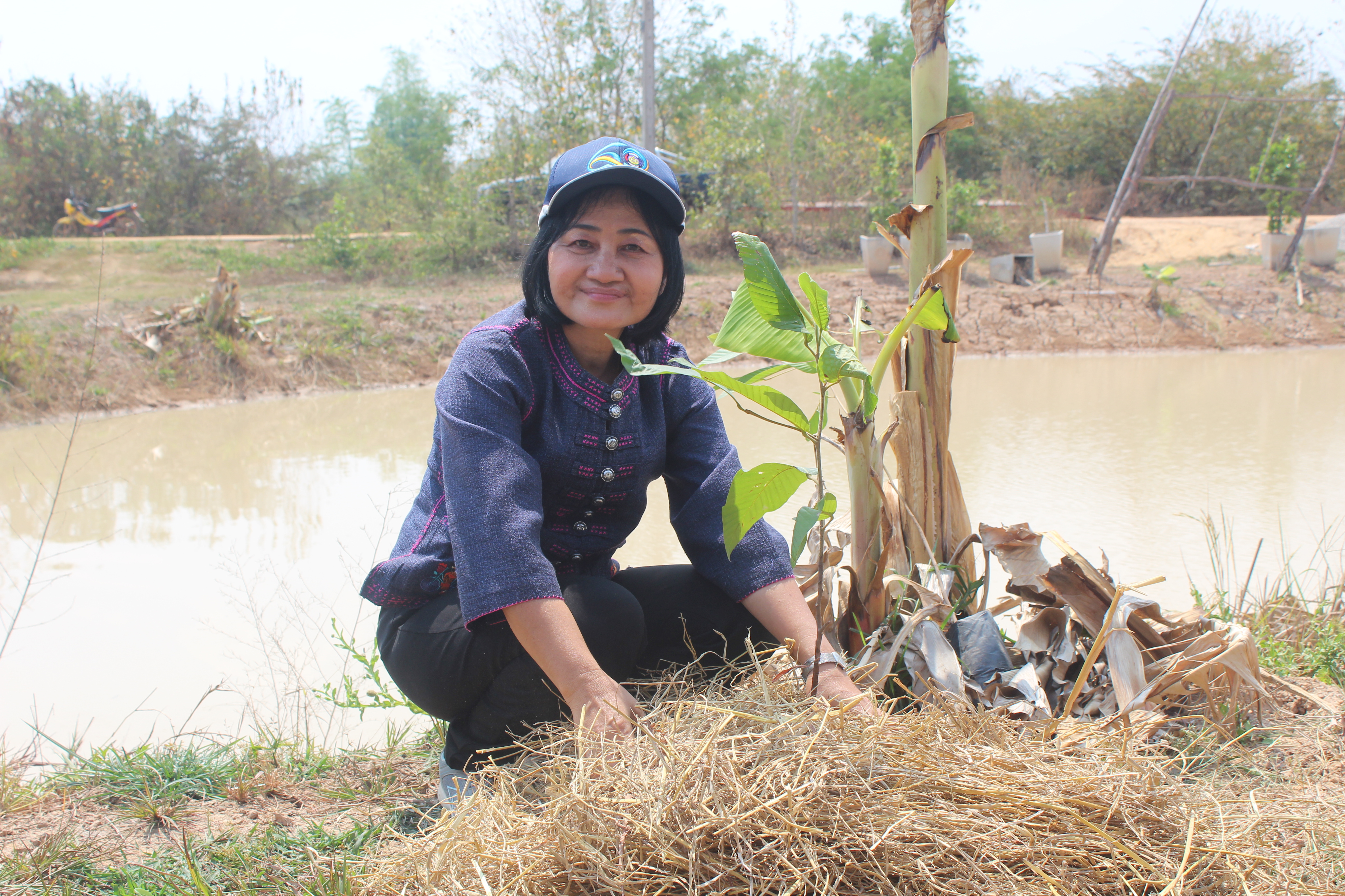 ☘พช.ยโสธร ชวนหิ้วปิ่นโต ไปเอามื้อสามัคคี ถือจอบเสียม พลิกฟื้นแผ่นดิน ณ พื้นที่เรียนรู้ชุมชนต้นแบบการพัฒนาคุณภาพชีวิต CLM ตำบลฟ้าหยาด อำเภอมหาชนะชัย จังหวัดยโสธร
