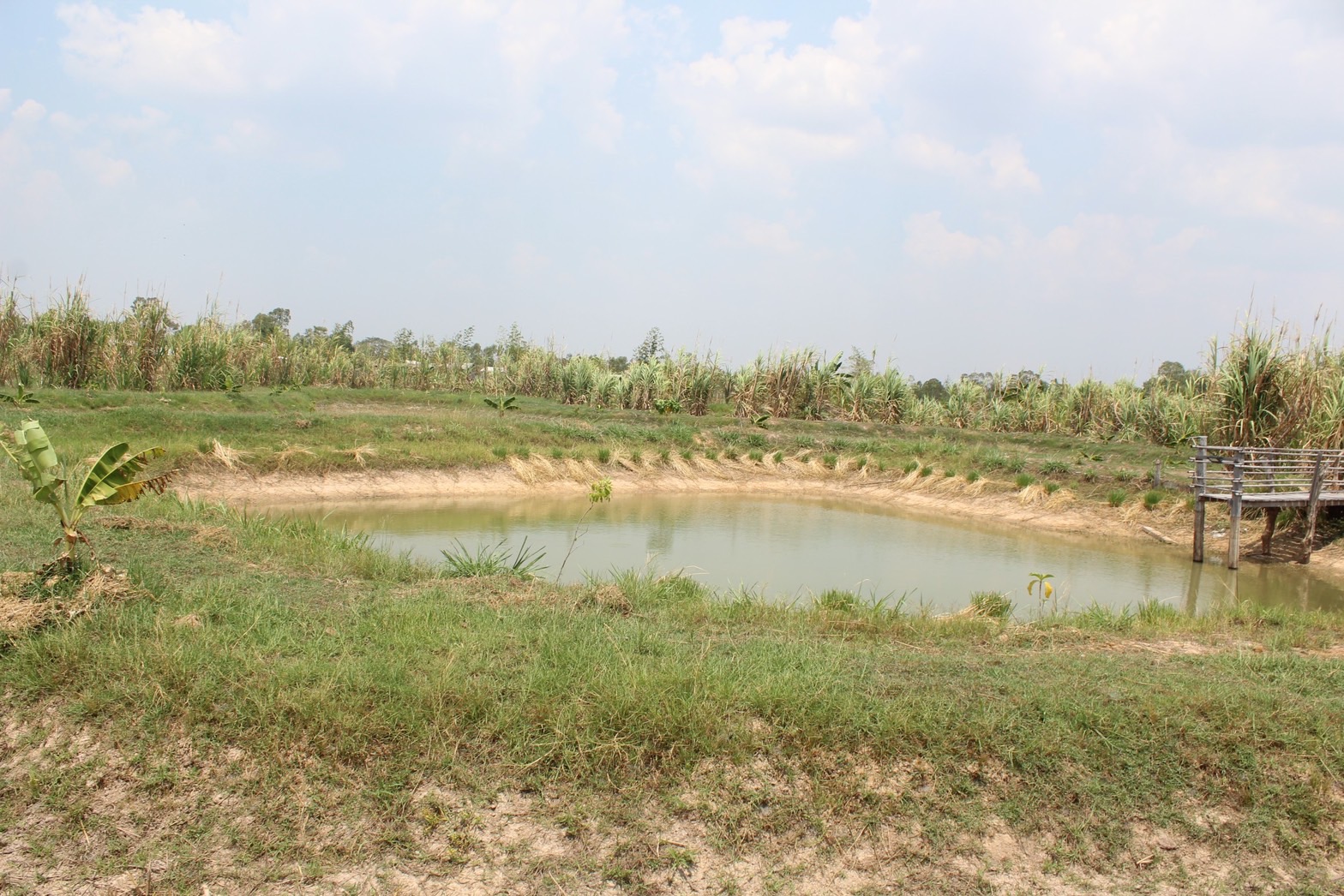 ☘พช.ยโสธร ลงพื้นที่ติดตามสนับสนุนศูนย์เรียนรู้ชุมชนต้นแบบการพัฒนาคุณภาพชีวิต CLM ตำบลคูเมือง อำเภอมหาชนะชัย จังหวัดยโสธร