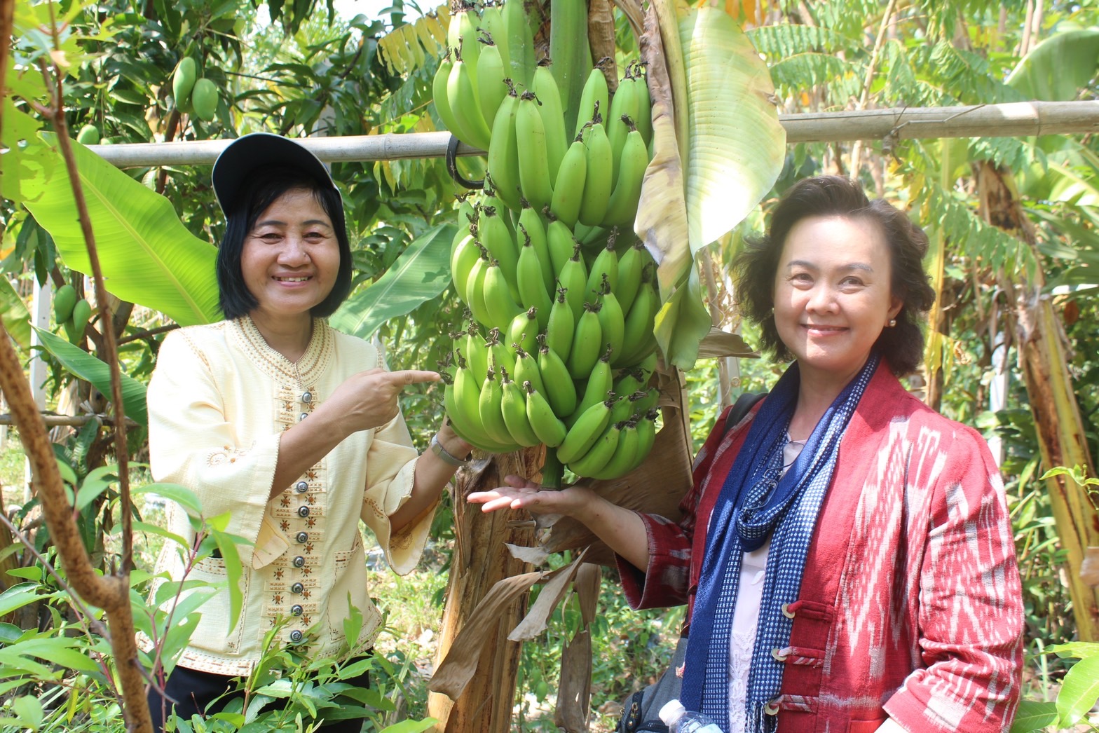 ☘ที่ปรึกษา ปลัด มท. ลงพื้นที่ เมืองบั้งไฟ ติดตามสนับสนุนศูนย์เรียนรู้ชุมชนต้นแบบการพัฒนาคุณภาพชีวิต ศูนย์เรียนรู้ CLM อำเภอมหาชนะชัย จังหวัดยโสธร