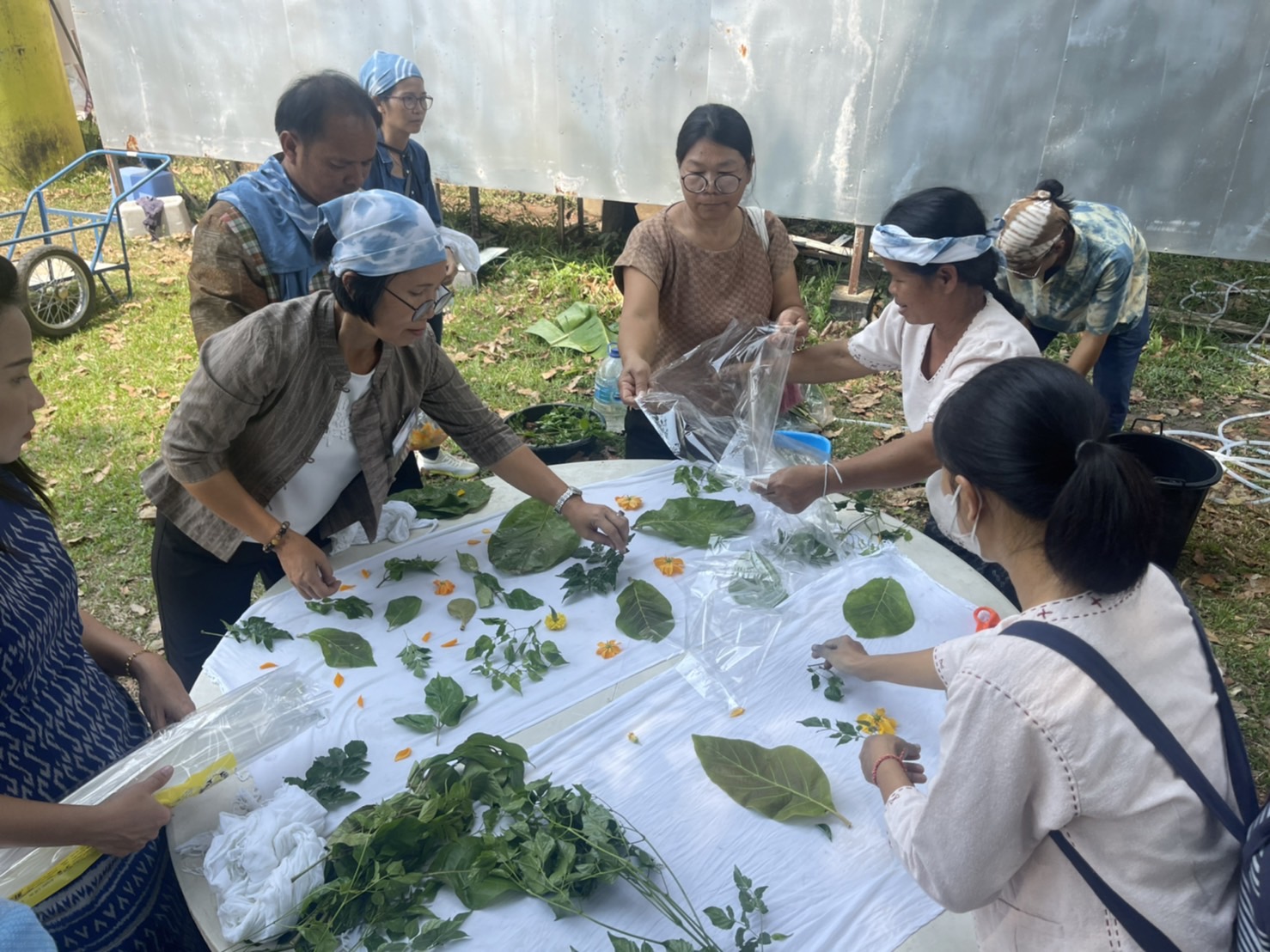 (lotus)พช.ยโสธร ร่วมประชุมโครงการสนองพระราชดำริโครงการ อนุรักษ์พันธุกรรมพืชอันเนื่องมาจากพระราชดำริสมเด็จพระเทพรัตนราชสุดาฯ สยามบรมราชกุมารี