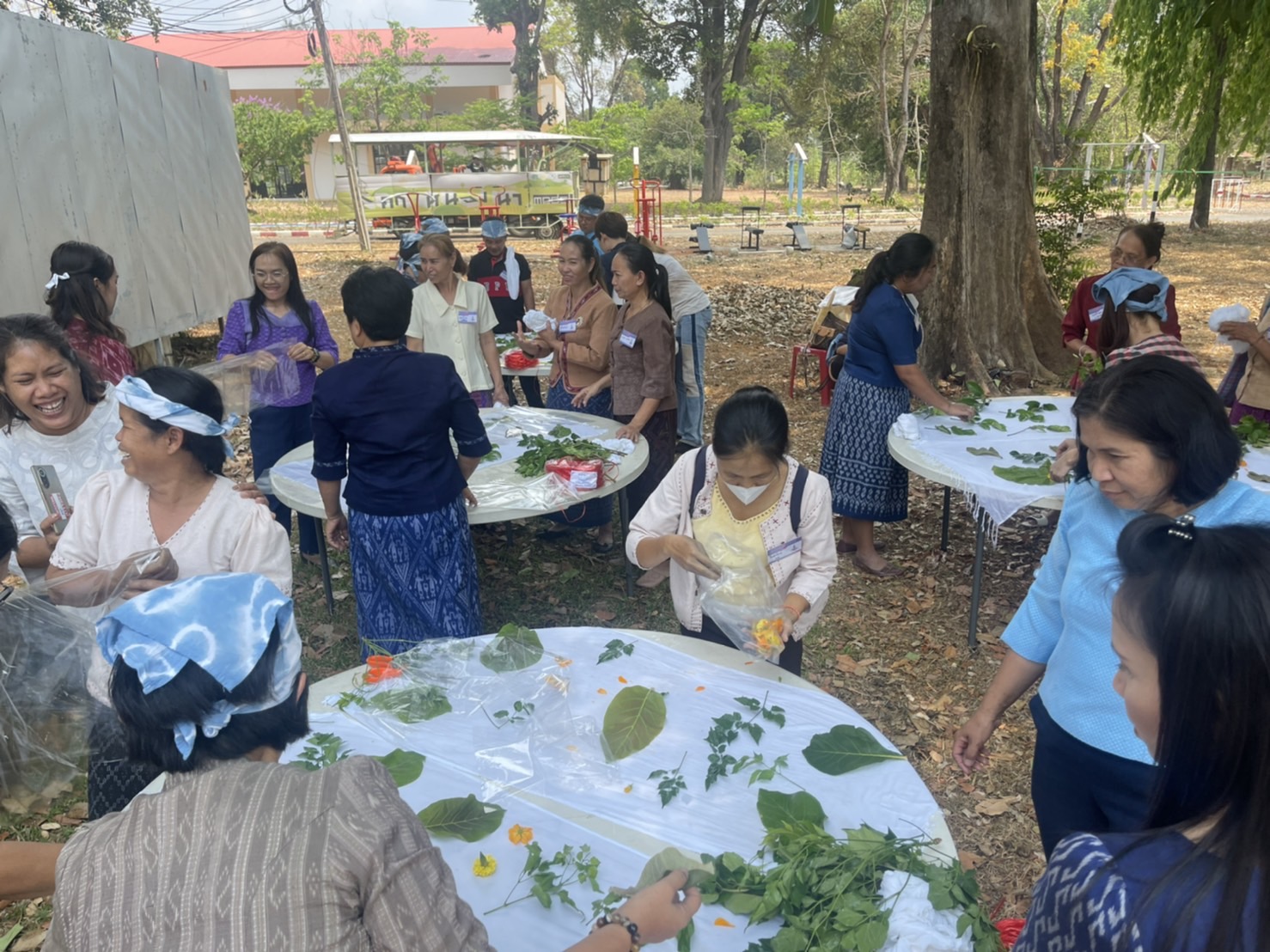 (lotus)พช.ยโสธร ร่วมประชุมโครงการสนองพระราชดำริโครงการ อนุรักษ์พันธุกรรมพืชอันเนื่องมาจากพระราชดำริสมเด็จพระเทพรัตนราชสุดาฯ สยามบรมราชกุมารี