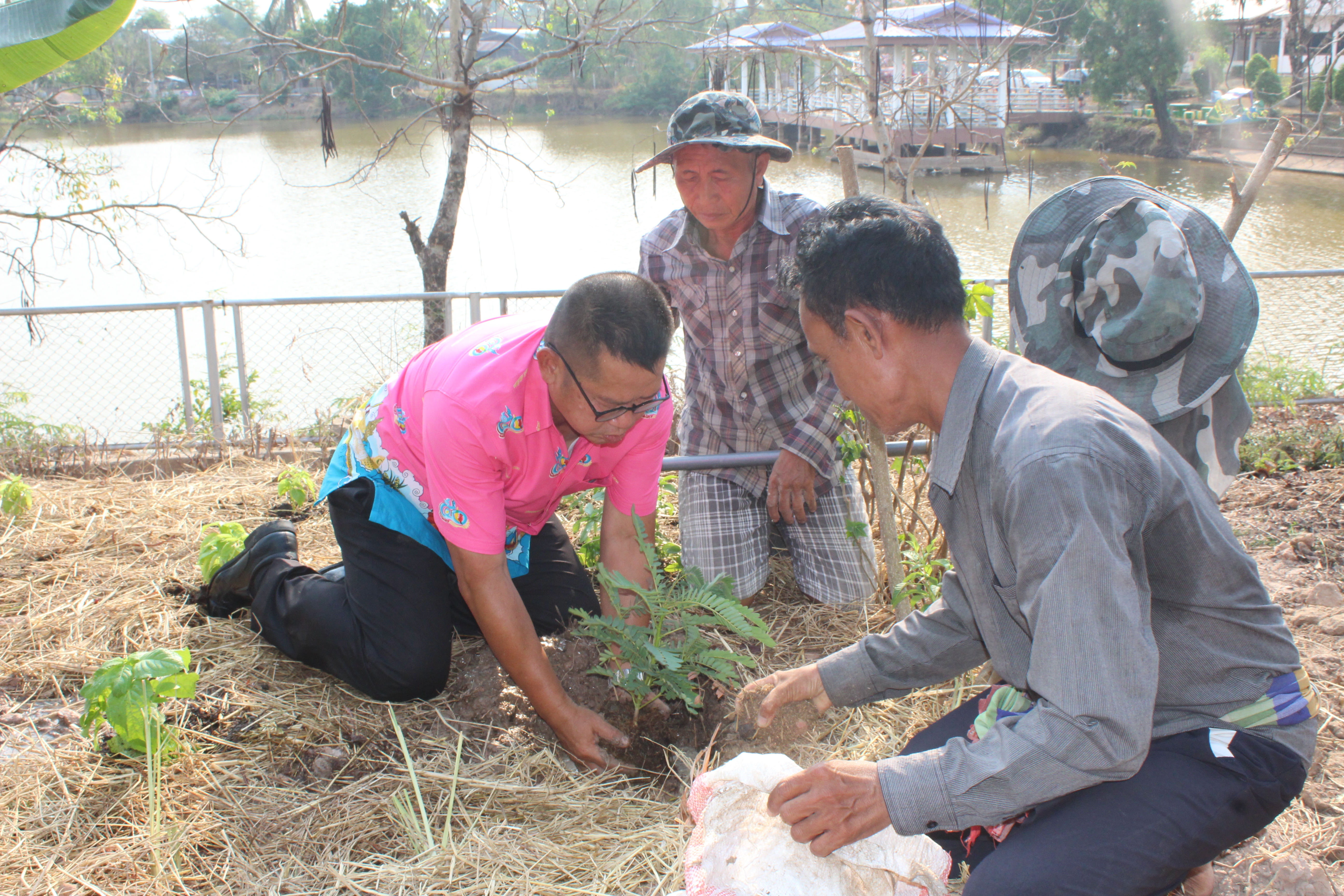 ?พช.ยโสธร ดำเนินกิจกรรม ทางนี้มีผล ผู้คนรักกัน “ถนนกินได้ ปลอดภัยไร้สารพิษ”ตำบลบึงแก อำเภอมหาชนะชัย จังหวัดยโสธร ภายใต้การจัดทำตำบลสารสนเทศตำบลต้นแบบเพื่อพัฒนาคุณภาพชีวิต