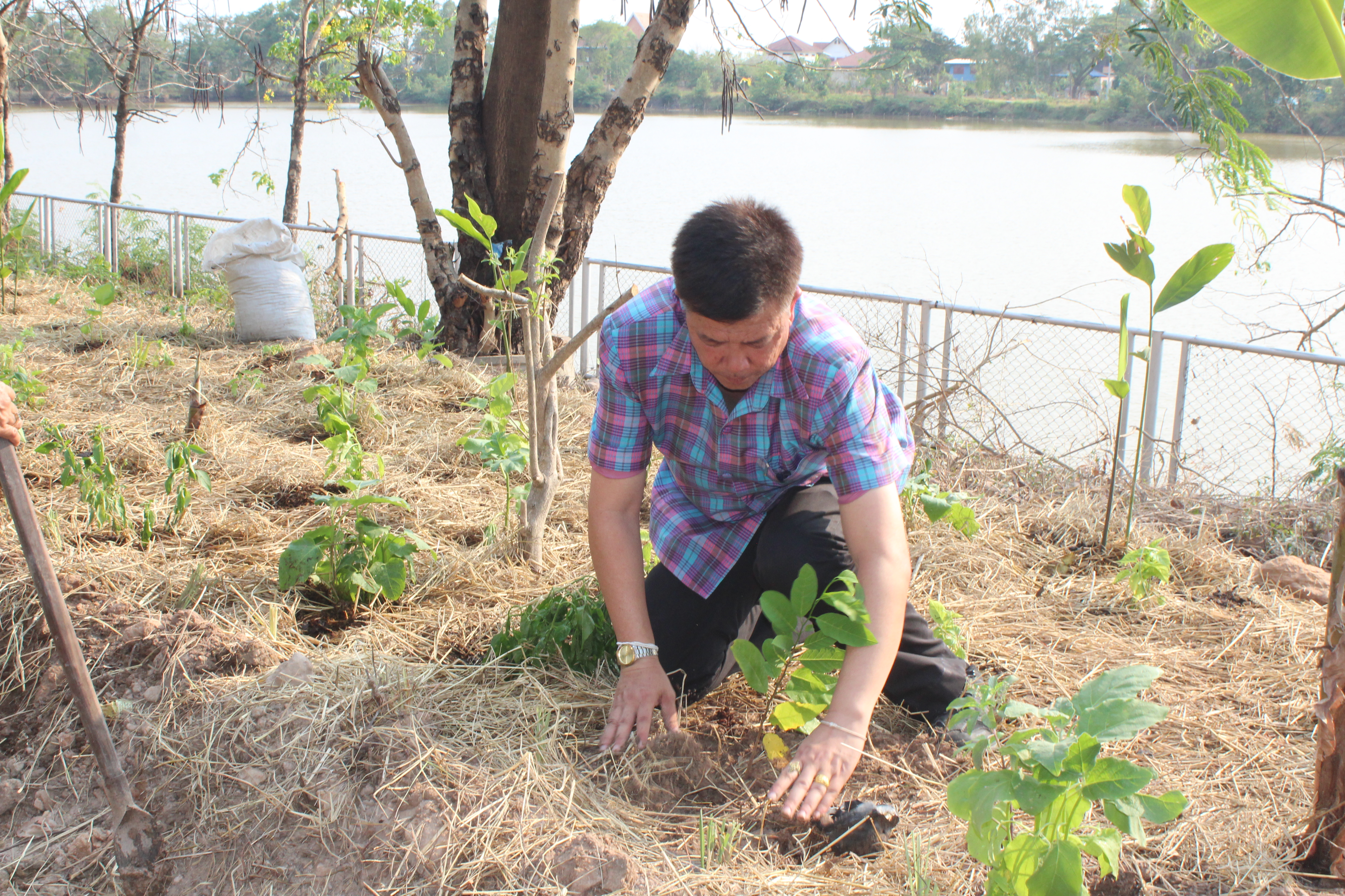 ?พช.ยโสธร ดำเนินกิจกรรม ทางนี้มีผล ผู้คนรักกัน “ถนนกินได้ ปลอดภัยไร้สารพิษ”ตำบลบึงแก อำเภอมหาชนะชัย จังหวัดยโสธร ภายใต้การจัดทำตำบลสารสนเทศตำบลต้นแบบเพื่อพัฒนาคุณภาพชีวิต