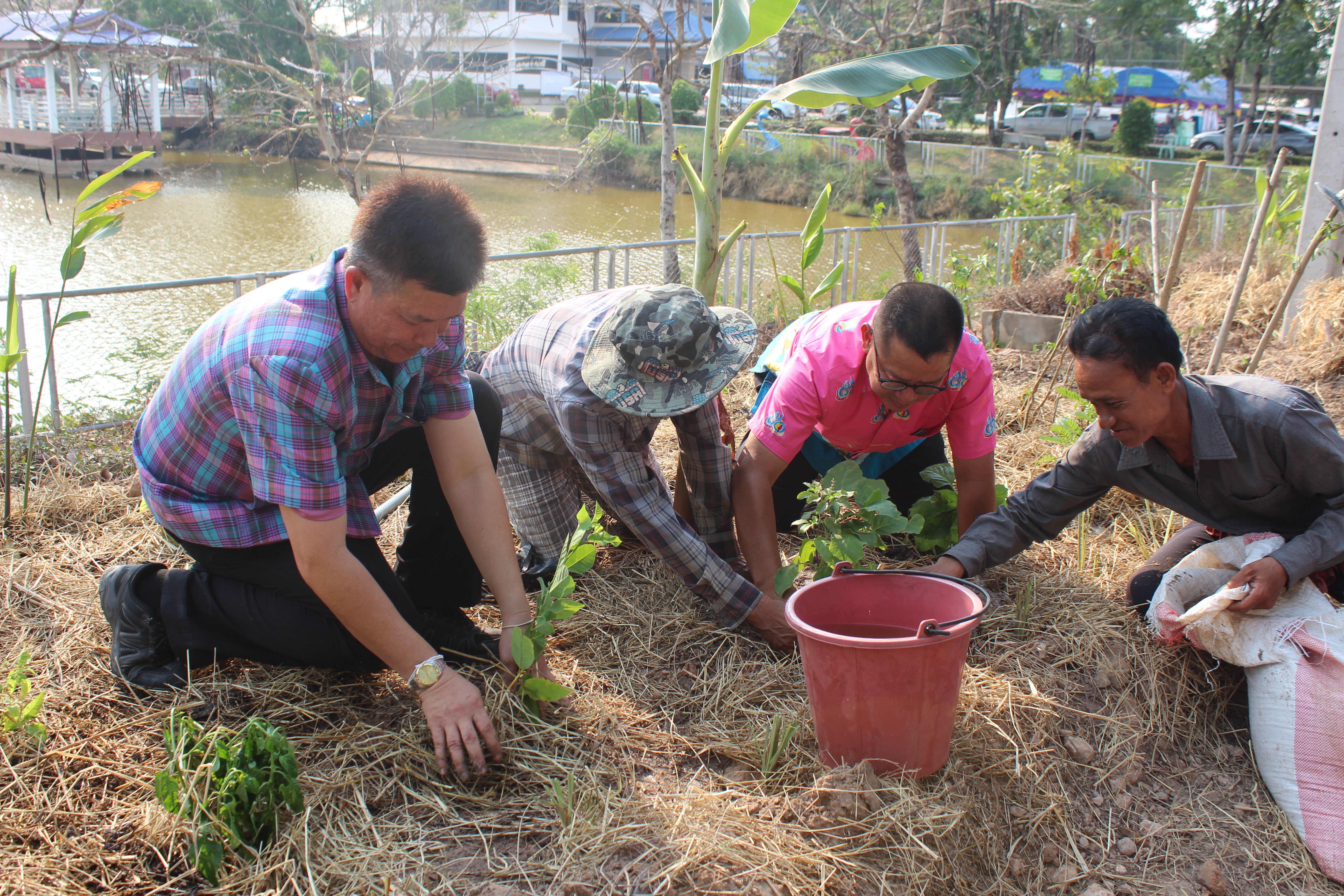 ?พช.ยโสธร ดำเนินกิจกรรม ทางนี้มีผล ผู้คนรักกัน “ถนนกินได้ ปลอดภัยไร้สารพิษ”ตำบลบึงแก อำเภอมหาชนะชัย จังหวัดยโสธร ภายใต้การจัดทำตำบลสารสนเทศตำบลต้นแบบเพื่อพัฒนาคุณภาพชีวิต
