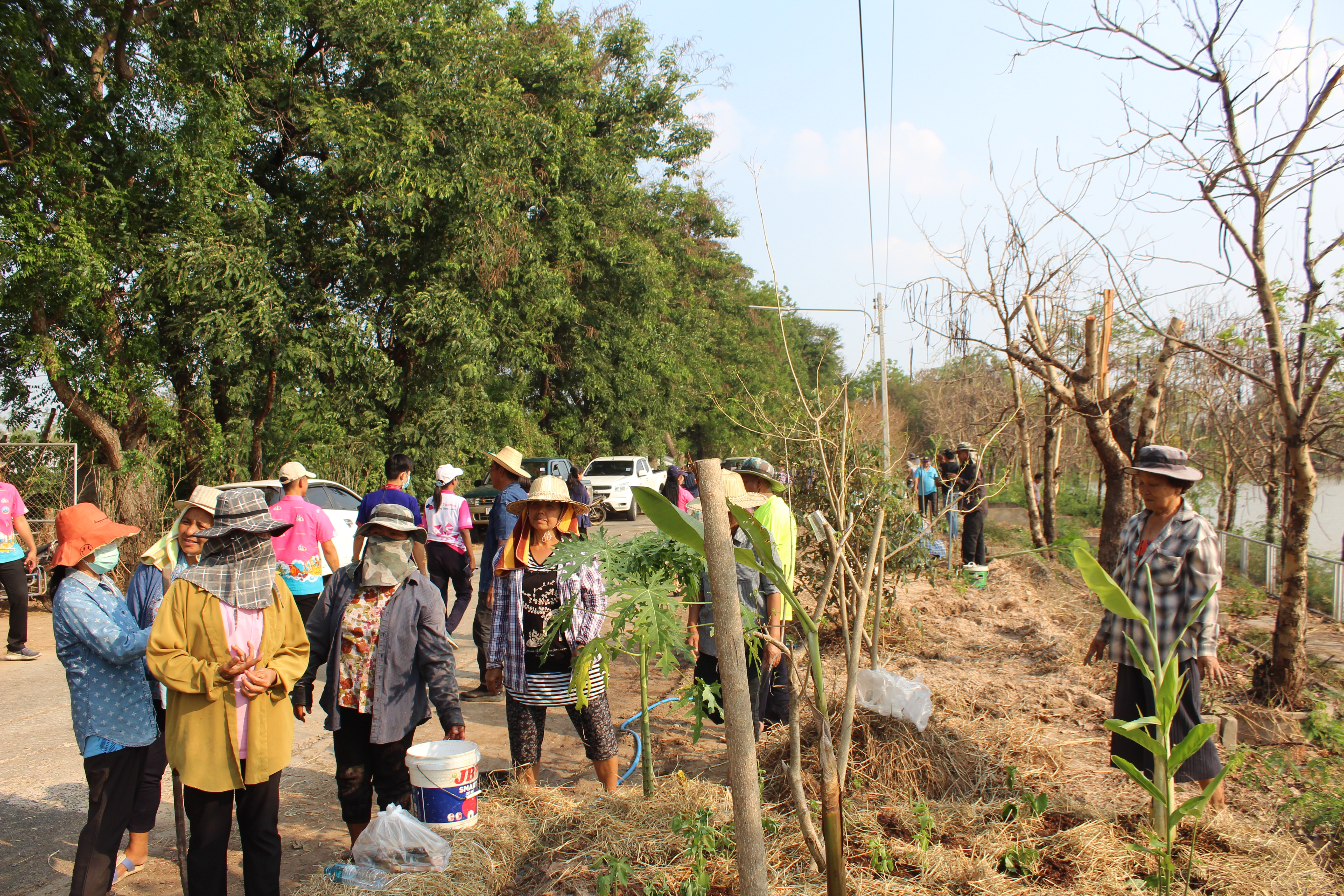 ?พช.ยโสธร ดำเนินกิจกรรม ทางนี้มีผล ผู้คนรักกัน “ถนนกินได้ ปลอดภัยไร้สารพิษ”ตำบลบึงแก อำเภอมหาชนะชัย จังหวัดยโสธร ภายใต้การจัดทำตำบลสารสนเทศตำบลต้นแบบเพื่อพัฒนาคุณภาพชีวิต