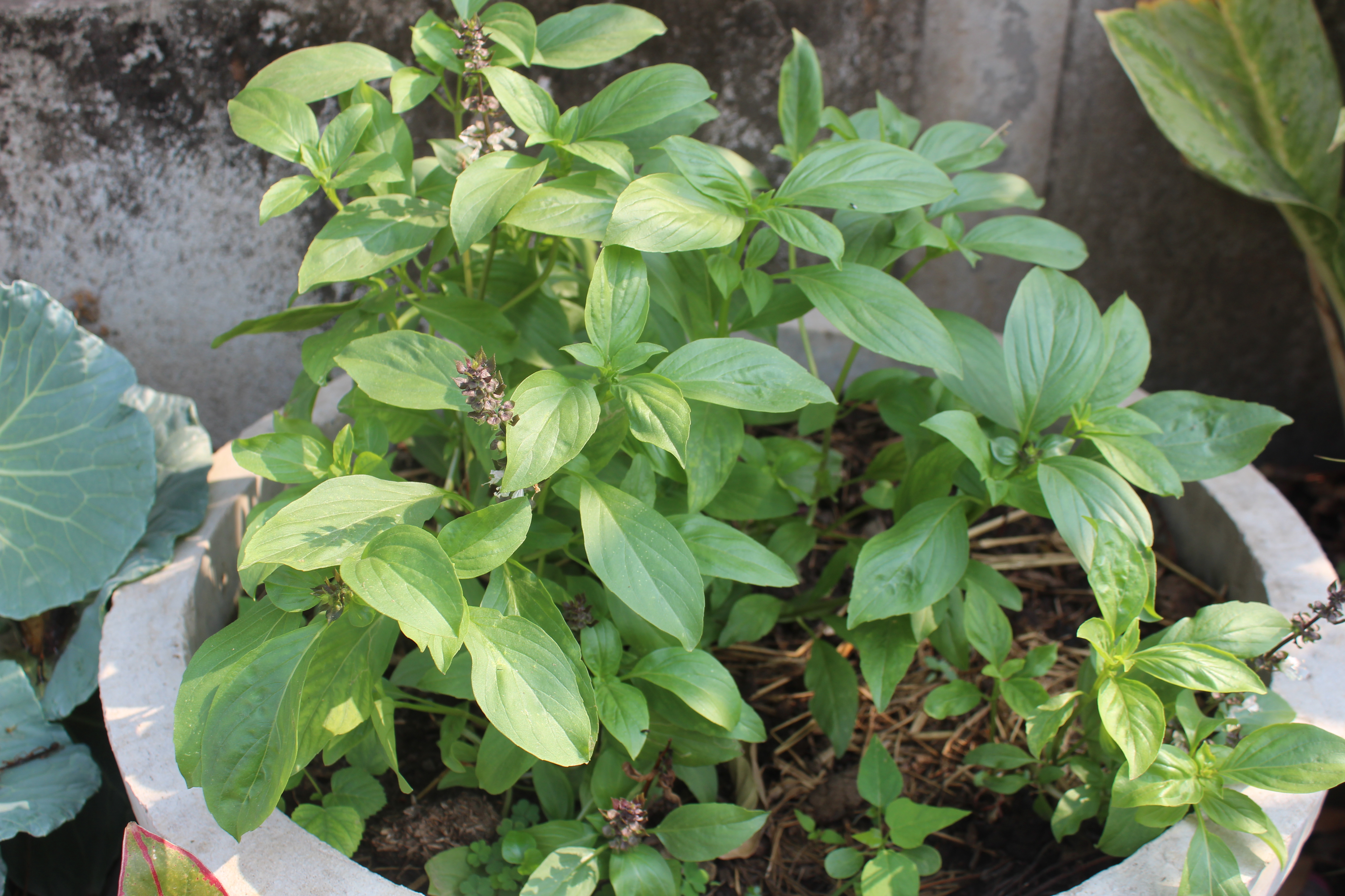 ผู้ตรวจราชการกรมการพัฒนาชุมชน ติดตามตรวจราชการในพื้นที่จังหวัดยโสธร ประจำเดือนเมษายน 2566