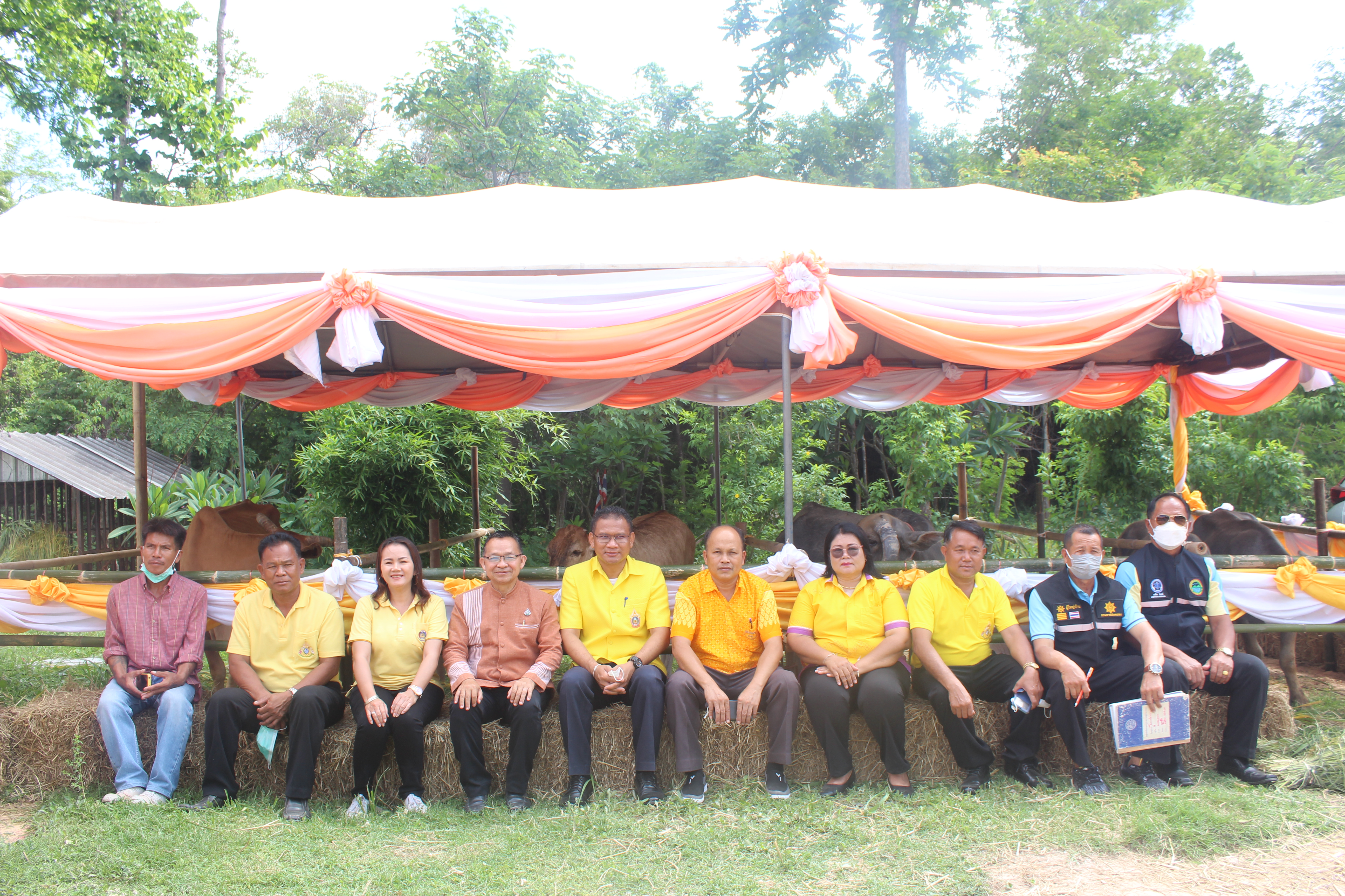 จังหวัดยโสธร มอบโค-กระบือ เพื่อช่วยเหลือประชาชนผู้ยากจนในพื้นที่ จังหวัดยโสธรภายใต้การดำเนินงานศูนย์อำนวยการขจัดความยากจนและพัฒนาคนทุกช่วง วัยอย่างยั่งยืนตามหลักปรัชญาของเศรษฐกิจพอเพียง จังหวัดยโสธร