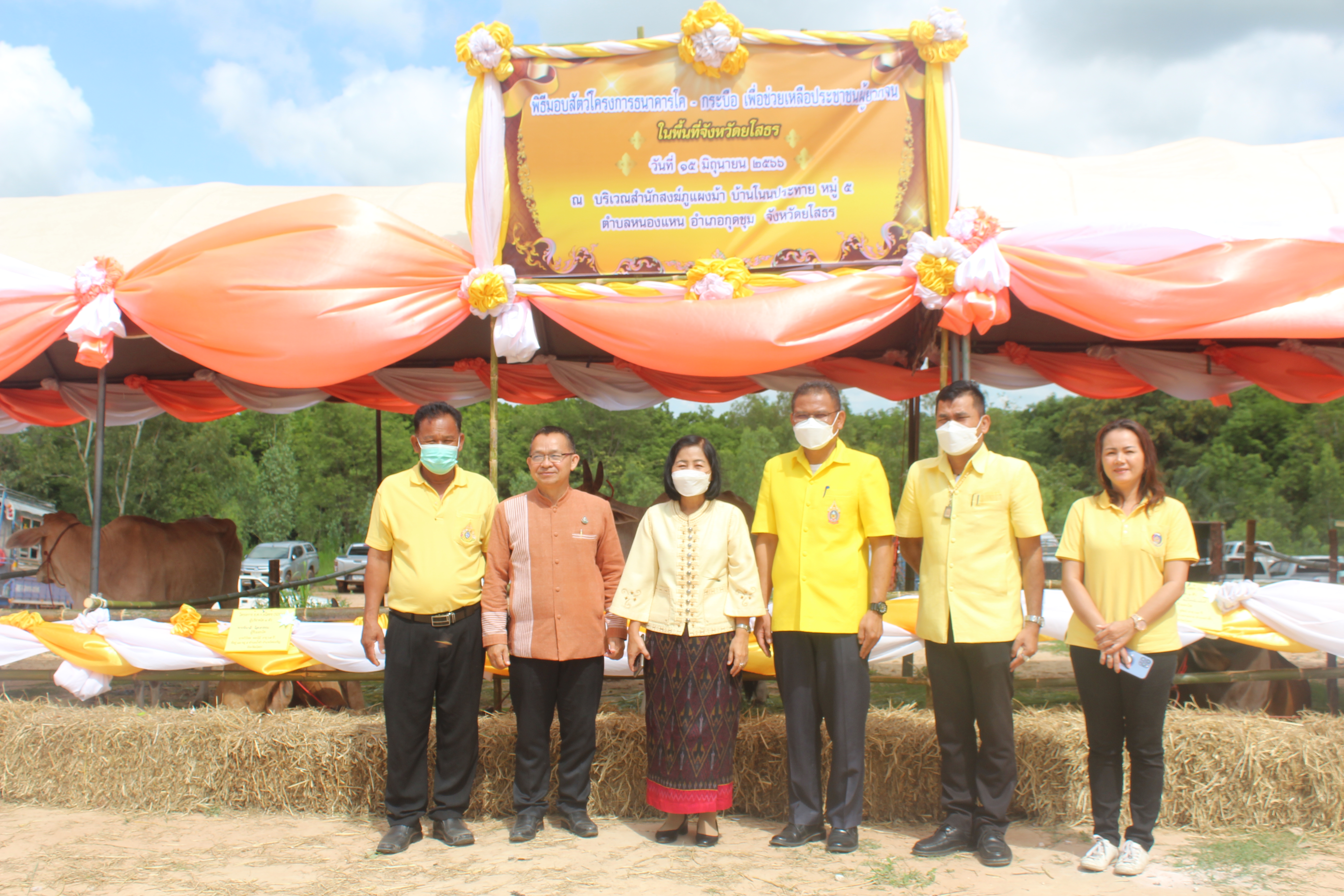จังหวัดยโสธร มอบโค-กระบือ เพื่อช่วยเหลือประชาชนผู้ยากจนในพื้นที่ จังหวัดยโสธรภายใต้การดำเนินงานศูนย์อำนวยการขจัดความยากจนและพัฒนาคนทุกช่วง วัยอย่างยั่งยืนตามหลักปรัชญาของเศรษฐกิจพอเพียง จังหวัดยโสธร