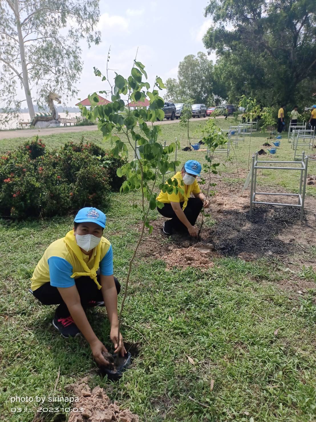พช.ยโสธร ร่วมกิจกรรมจิตอาสาจังหวัดยโสธร ร่วมกันปลูกต้นไม้ ทำความดี เนื่องในวันคล้ายวันเฉลิมพระชนมพรรษา สมเด็จพระนางเจ้าสุทิดา พัชรสุธาพิมลลักษณ พระบรมราชินี 3 มิถุนายน 2566 วันวิสาขบูชา และวันต้นไม้ประจำปีของชาติ