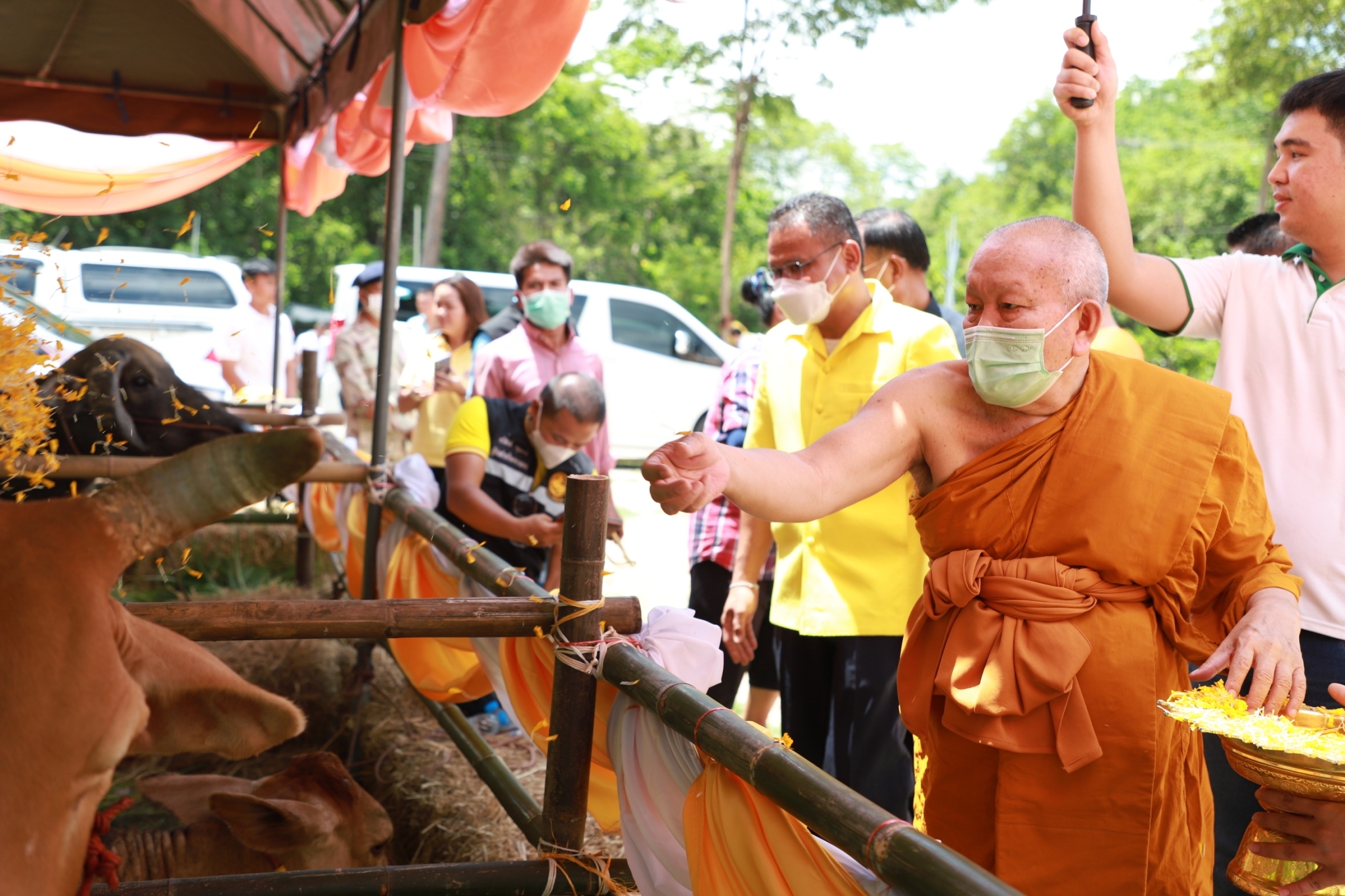 จังหวัดยโสธร มอบโค-กระบือ เพื่อช่วยเหลือประชาชนผู้ยากจนในพื้นที่ จังหวัดยโสธรภายใต้การดำเนินงานศูนย์อำนวยการขจัดความยากจนและพัฒนาคนทุกช่วง วัยอย่างยั่งยืนตามหลักปรัชญาของเศรษฐกิจพอเพียง จังหวัดยโสธร