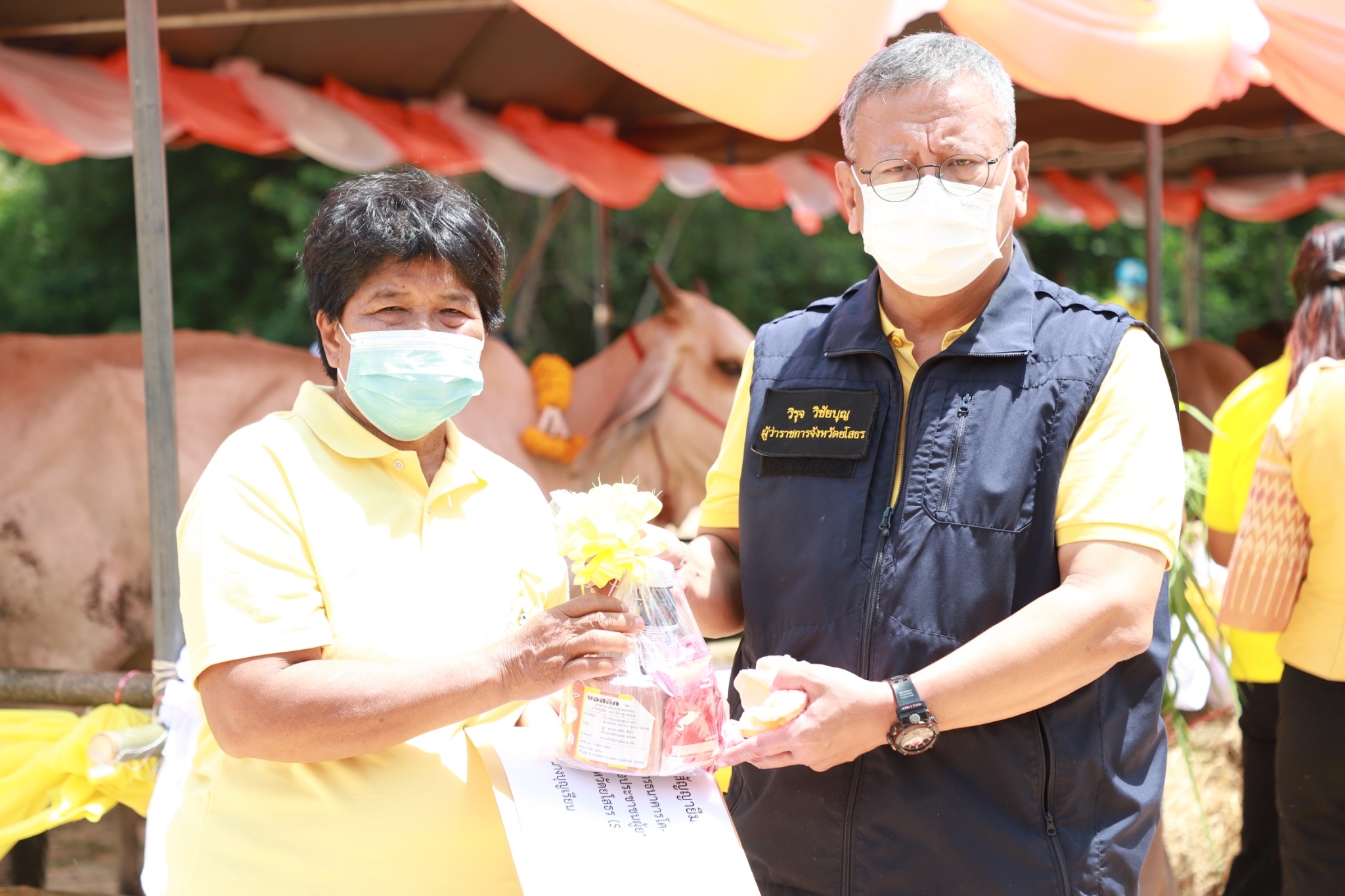 จังหวัดยโสธร มอบโค-กระบือ เพื่อช่วยเหลือประชาชนผู้ยากจนในพื้นที่ จังหวัดยโสธรภายใต้การดำเนินงานศูนย์อำนวยการขจัดความยากจนและพัฒนาคนทุกช่วง วัยอย่างยั่งยืนตามหลักปรัชญาของเศรษฐกิจพอเพียง จังหวัดยโสธร