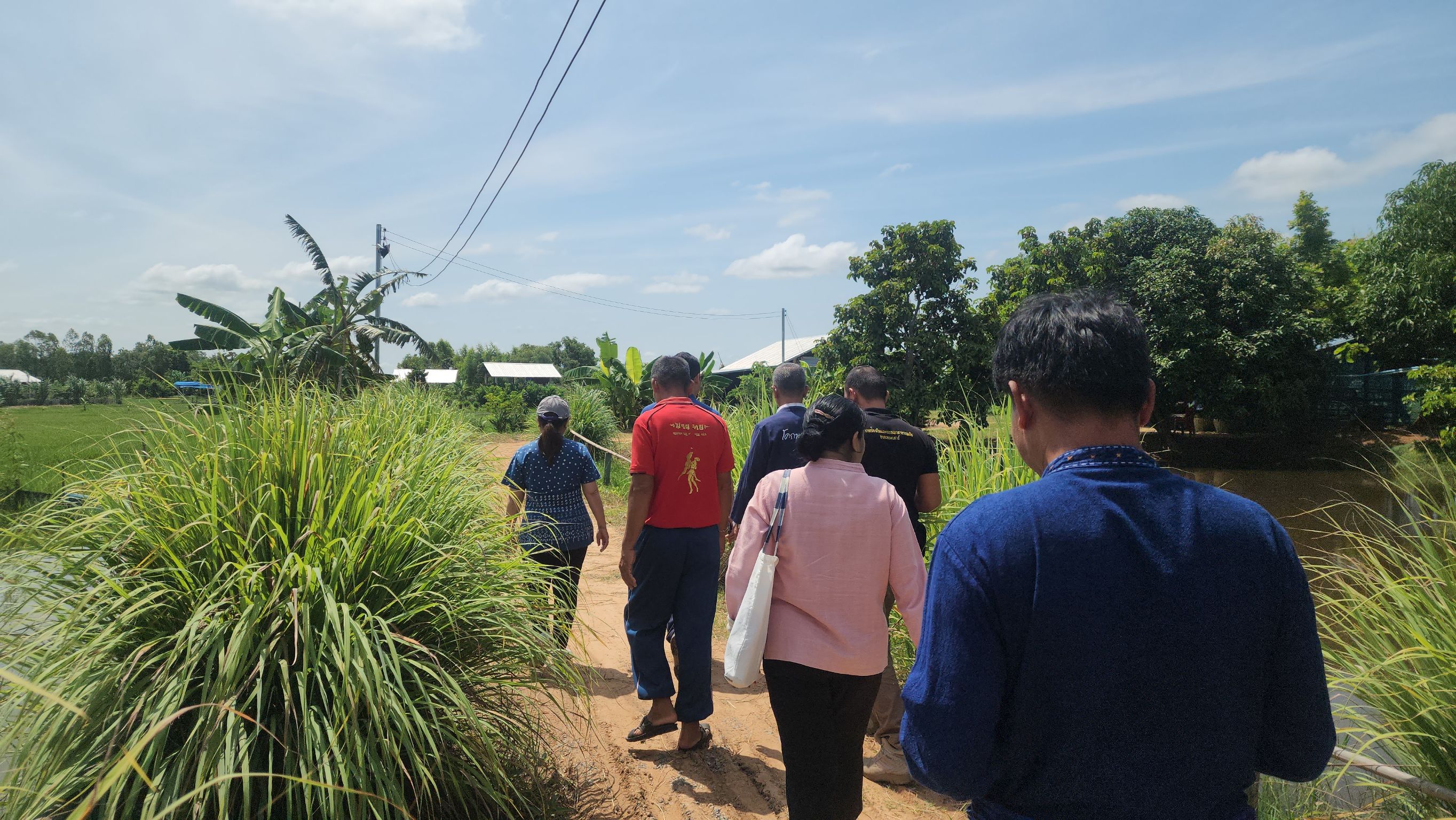 พช.ยโสธร ร่วมประชุมแลกเปลี่ยนเรียนรู้และวางแผนการขับเคลื่อนกิจกรรมของเครือข่ายเกษตรปลอดภัยจังหวัดยโสธร