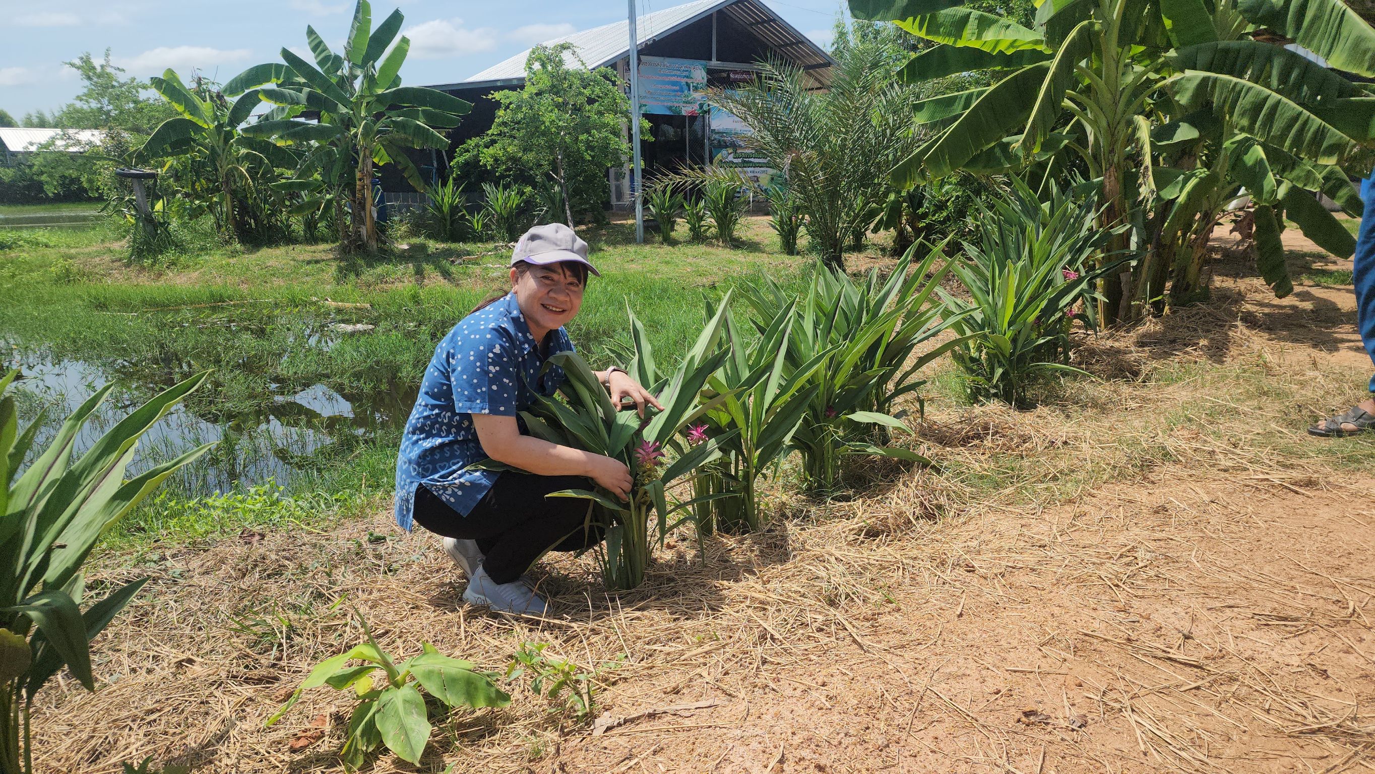 พช.ยโสธร ร่วมประชุมแลกเปลี่ยนเรียนรู้และวางแผนการขับเคลื่อนกิจกรรมของเครือข่ายเกษตรปลอดภัยจังหวัดยโสธร
