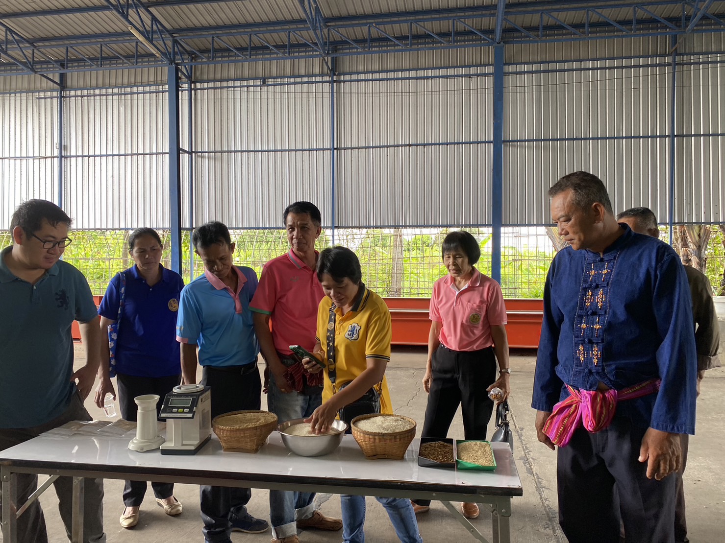 พช.ยโสธร เดินหน้ายกระดับผู้ผลิตข้าวและการแปรรูปข้าวอินทรีย์ ตำบลบึงแก อำเภอมหาชนะชัย จังหวัดยโสธร