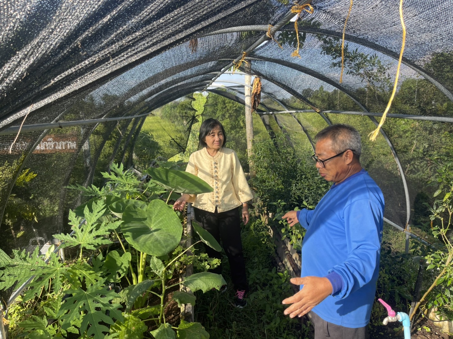 พช.ยโสธร ติดตามส่งเสริมสนับสนุนการดำเนินโครงการพัฒนาหมู่บ้านเศรษฐกิจพอเพียง กิจกรรมพัฒนาศูนย์เรียนรู้ทฤษฎีใหม่รูปแบบ “โคก หนอง นา โมเดล” อำเภอป่าติ้ว จังหวัดยโสธร