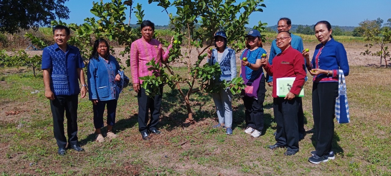 ผู้ตรวจกรมการพัฒนาชุมชนลงพื้นที่ติดตามผลการดำเนินงานโครงการหมู่บ้านเศรษฐกิจพอเพียงกิจกรรมการพัฒนาศูนย์เรียนรู้ทฤษฎีใหม่รูปแบบ”โคก หนอง นา” ในพื้นที่อำเภอกุดชุมและอำเภอทรายมูล จังหวัดยโสธร