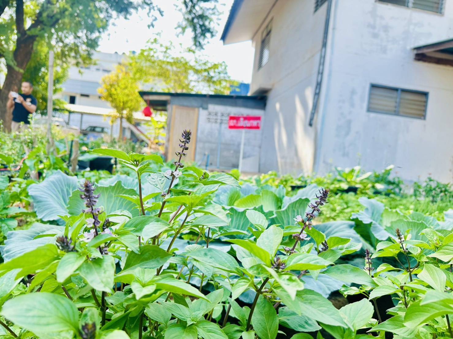 พช.ยโสธร ร่วมลงพื้นที่ติดตามภารกิจชมรมแม่บ้านมหาดไทยจังหวัดยโสธรในพื้นที่ อำเภอทรายมูลและอำเภอเลิงนกทา จังหวัดยโสธร