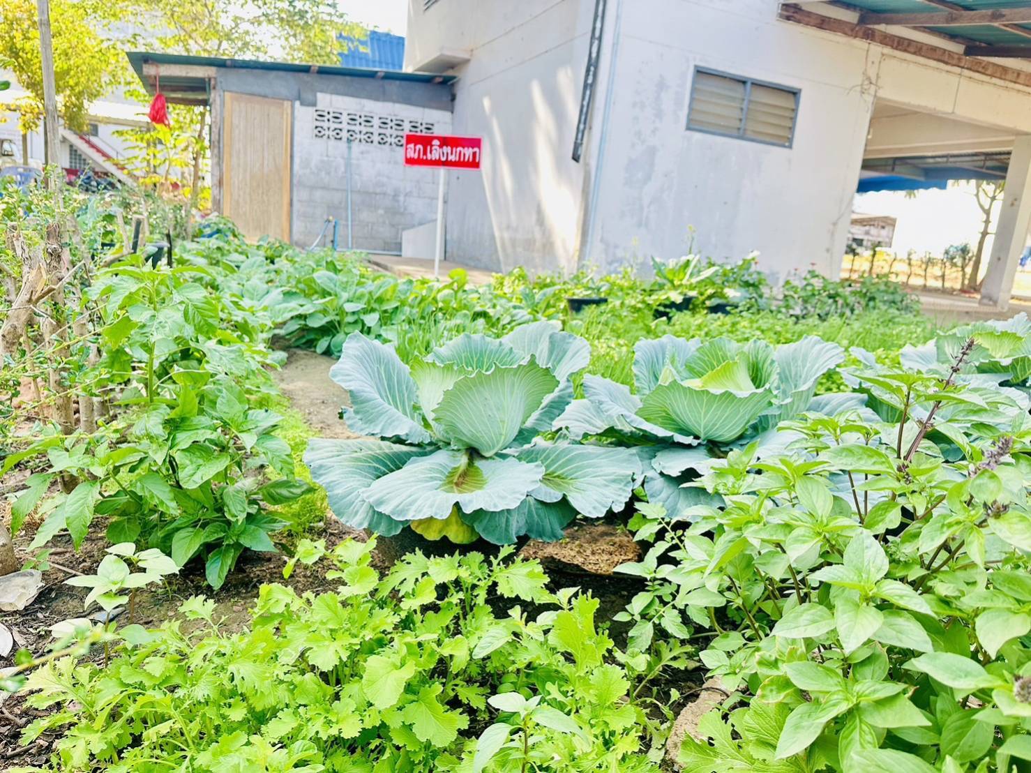 พช.ยโสธร ร่วมลงพื้นที่ติดตามภารกิจชมรมแม่บ้านมหาดไทยจังหวัดยโสธรในพื้นที่ อำเภอทรายมูลและอำเภอเลิงนกทา จังหวัดยโสธร