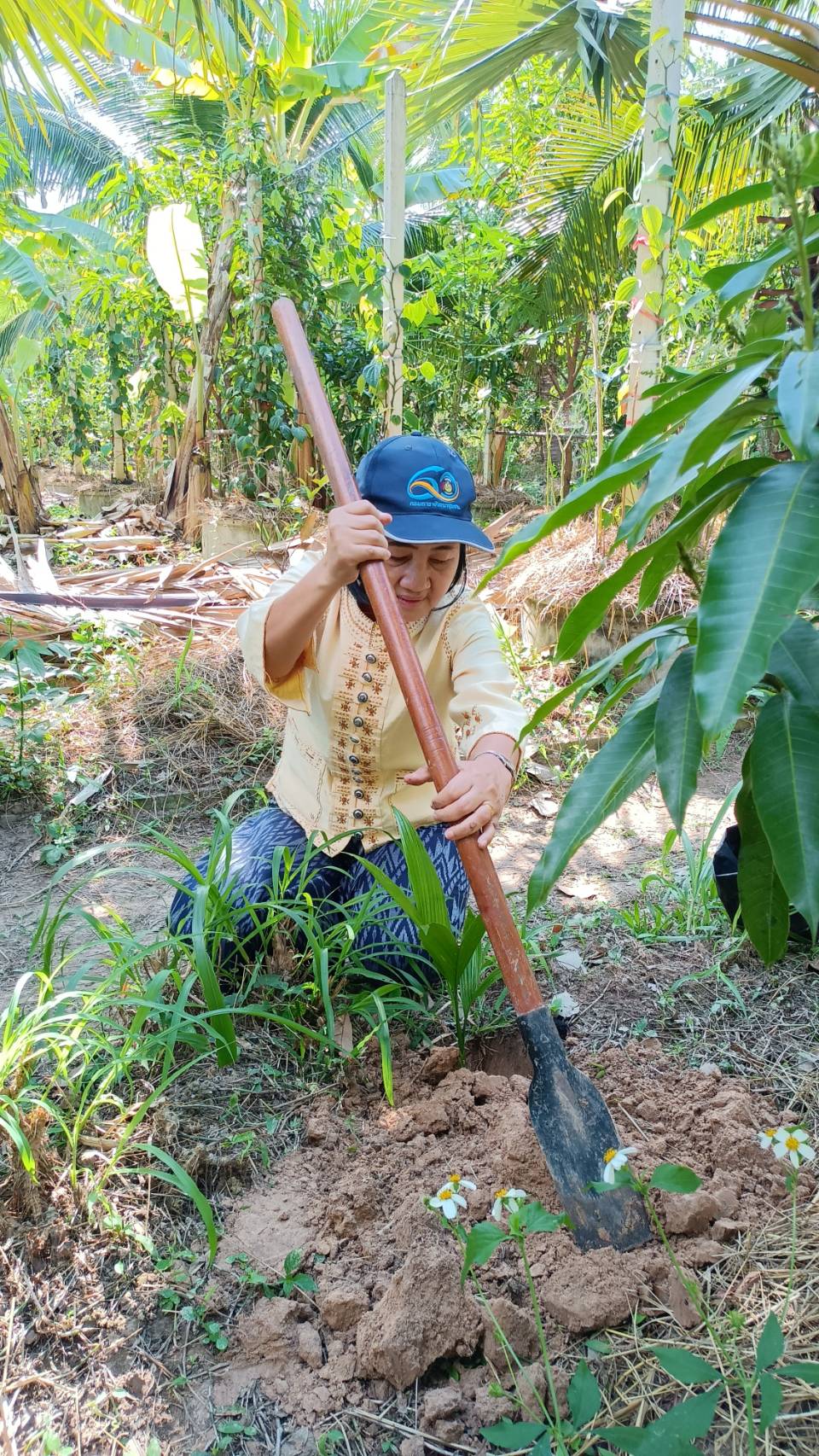 พ่อเมืองยโสธร ลงพื้นที่เยี่ยมชมโคกหนองนาพัฒนาชุมชน ณ พื้นที่อำเภอมหาชนะชัย จังหวัดยโสธร