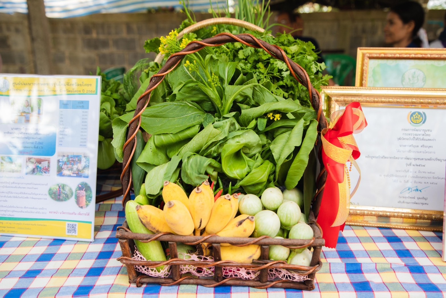 พ่อเมืองยโสธร ลงพื้นที่เยี่ยมชมโคกหนองนาพัฒนาชุมชน ณ พื้นที่อำเภอมหาชนะชัย จังหวัดยโสธร