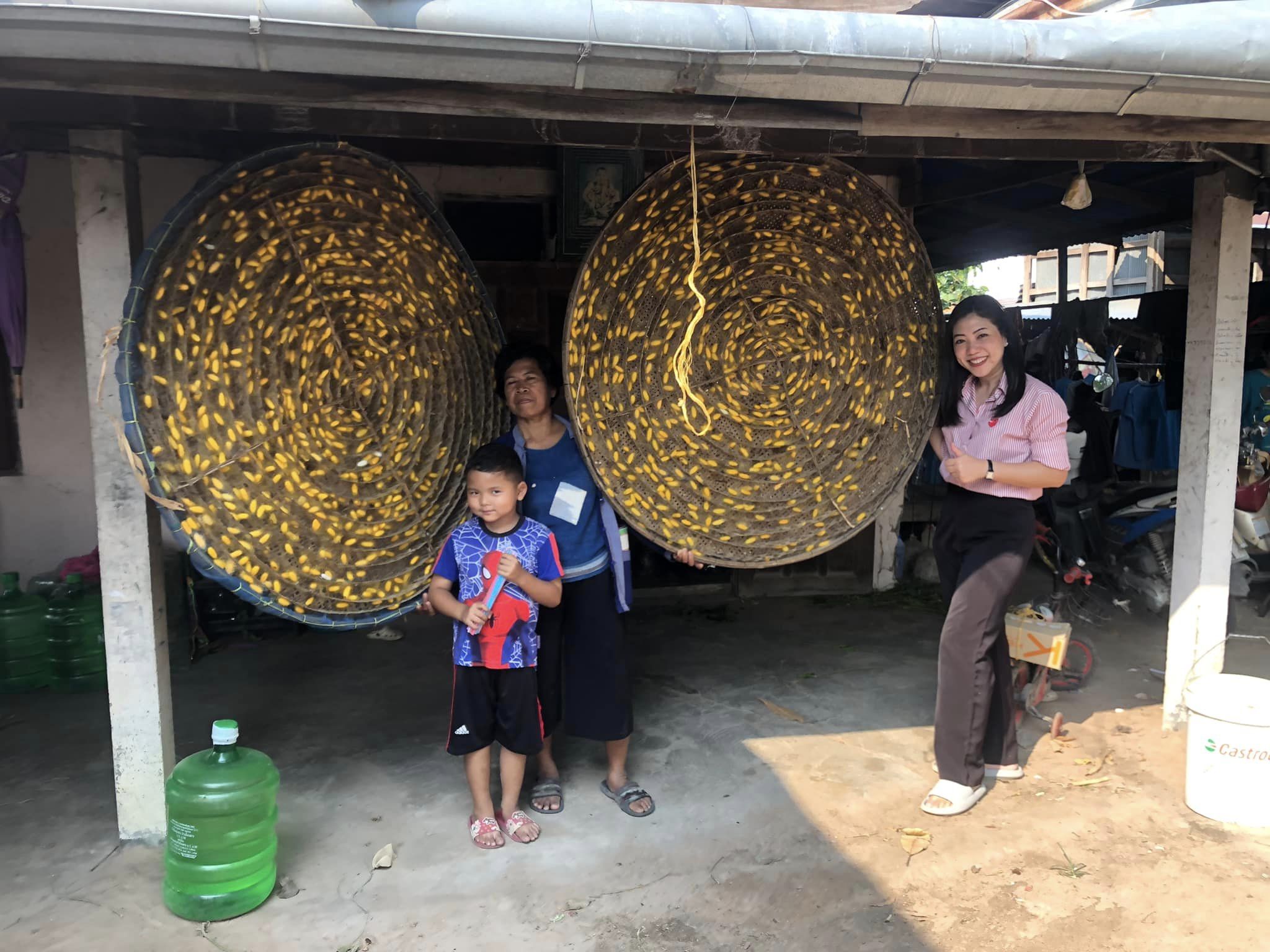 พช.มหาชนะชัย จังหวัดยโสธร เดินหน้าเชิงรุกส่งเสริมการใช้ประโยชน์และประชาสัมพันธ์การดาวน์โหลดแพลตฟอร์มบริการดิจิทัล Clickชุมชน และการสมัครใช้บริการ SHOP ชุมชน